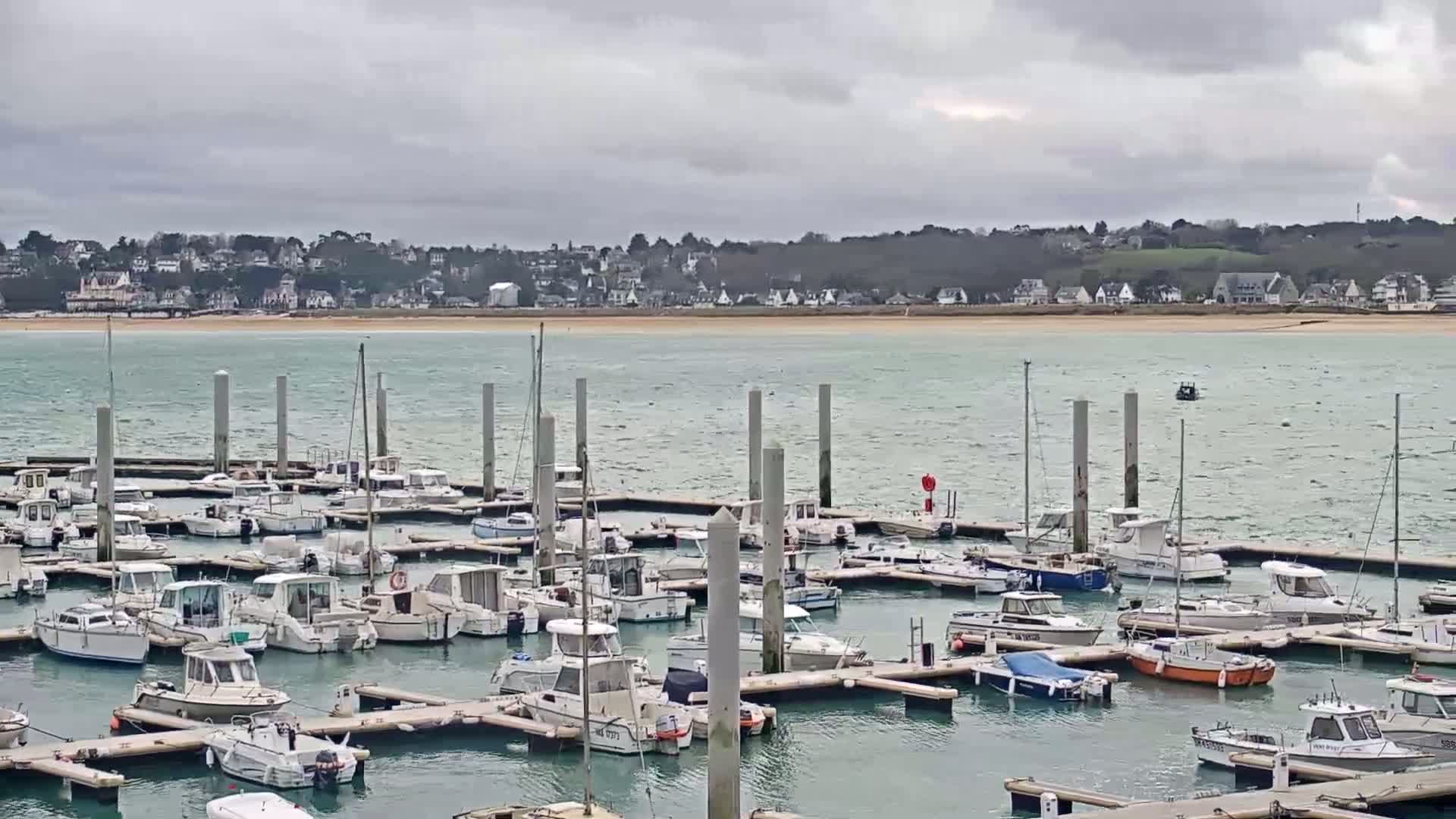 A marina filled with numerous boats is situated on a body of water, with a town visible across the water under a cloudy sky.