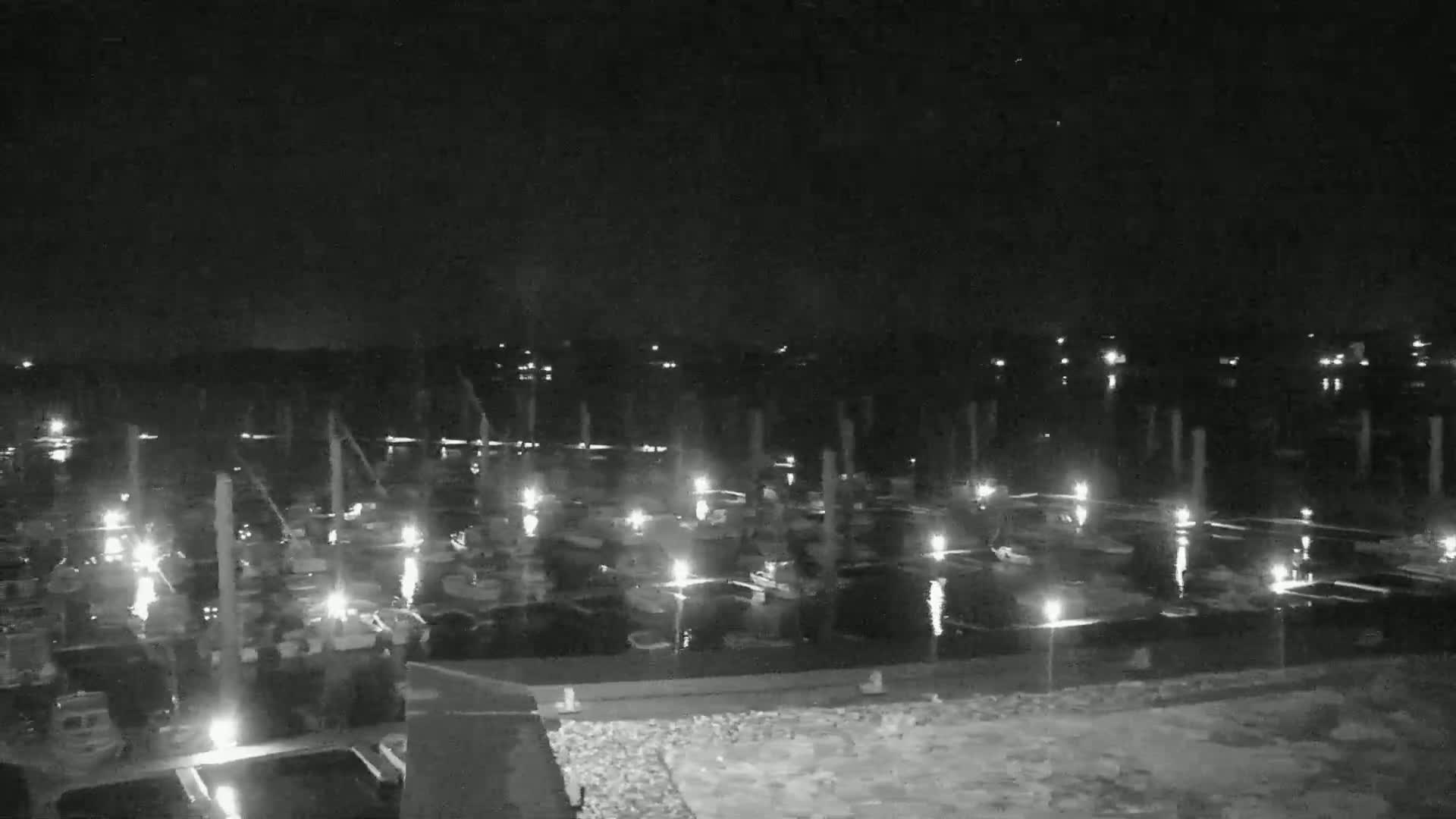 A nighttime view of a marina with numerous boats illuminated by lights, under a clear, dark sky.