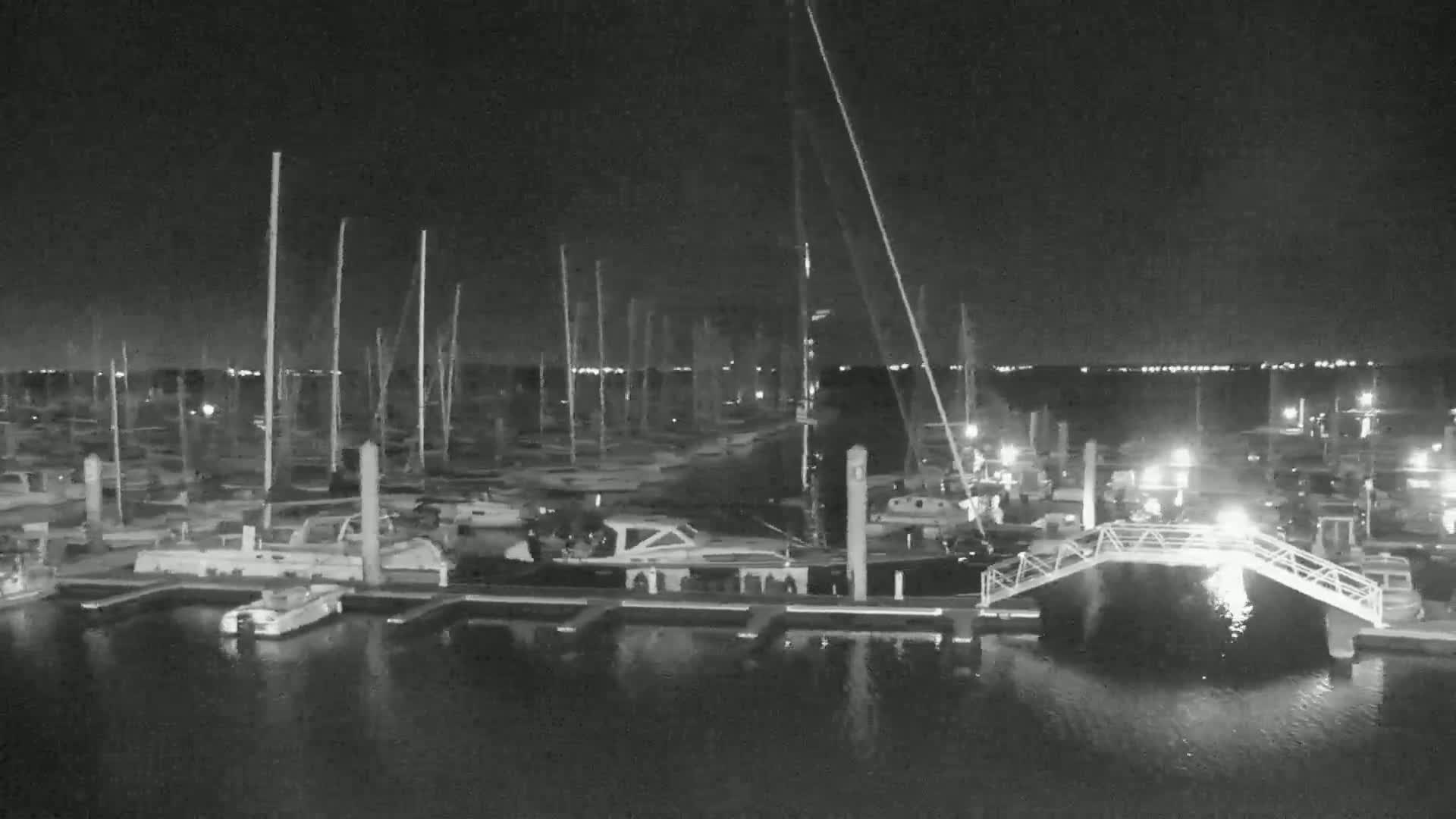 A nighttime view of a marina filled with numerous boats and yachts docked at the piers, under a clear, dark sky.
