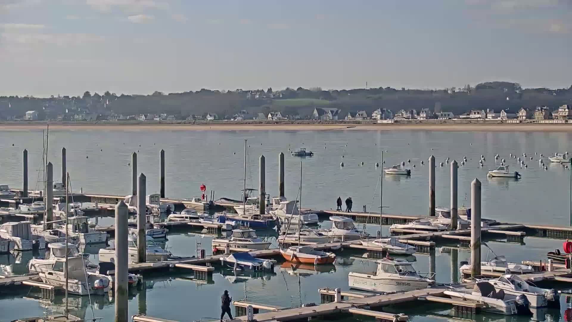 A marina filled with numerous boats on a calm, sunny day, with a town and sandy beach visible in the distance.