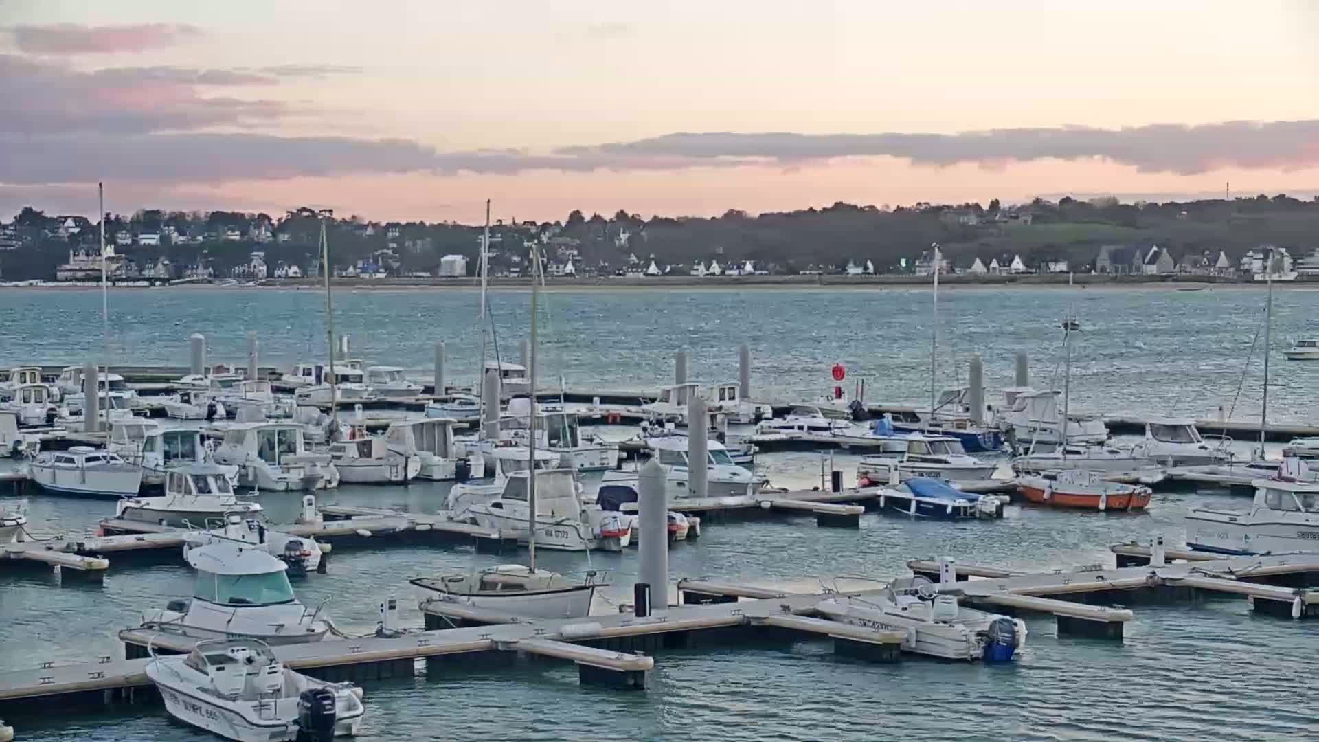 Many boats are docked in a marina under a partly cloudy, pinkish sky, with a town visible across the water.