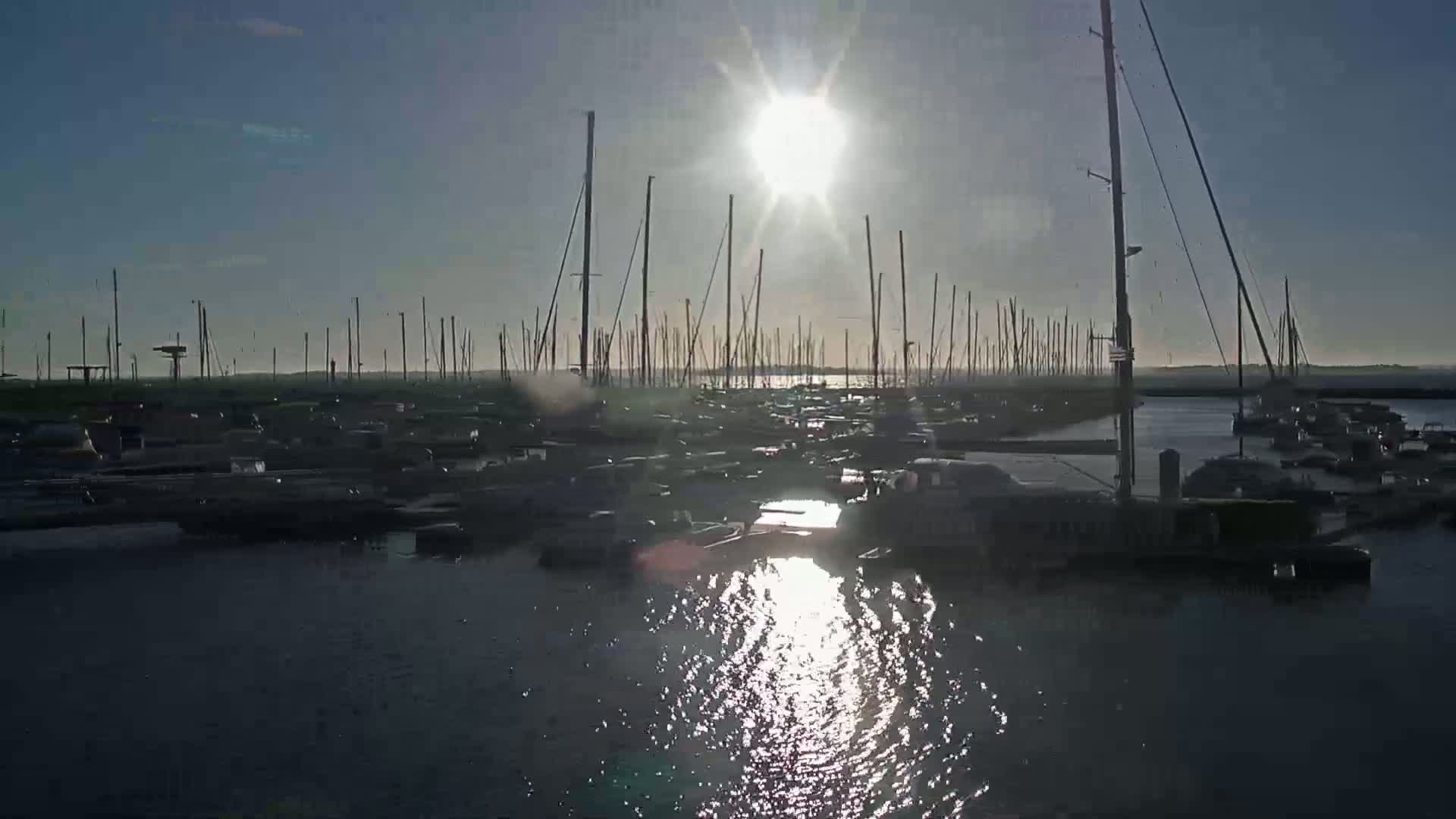 Many sailboats are docked in a marina on a sunny day with calm water.