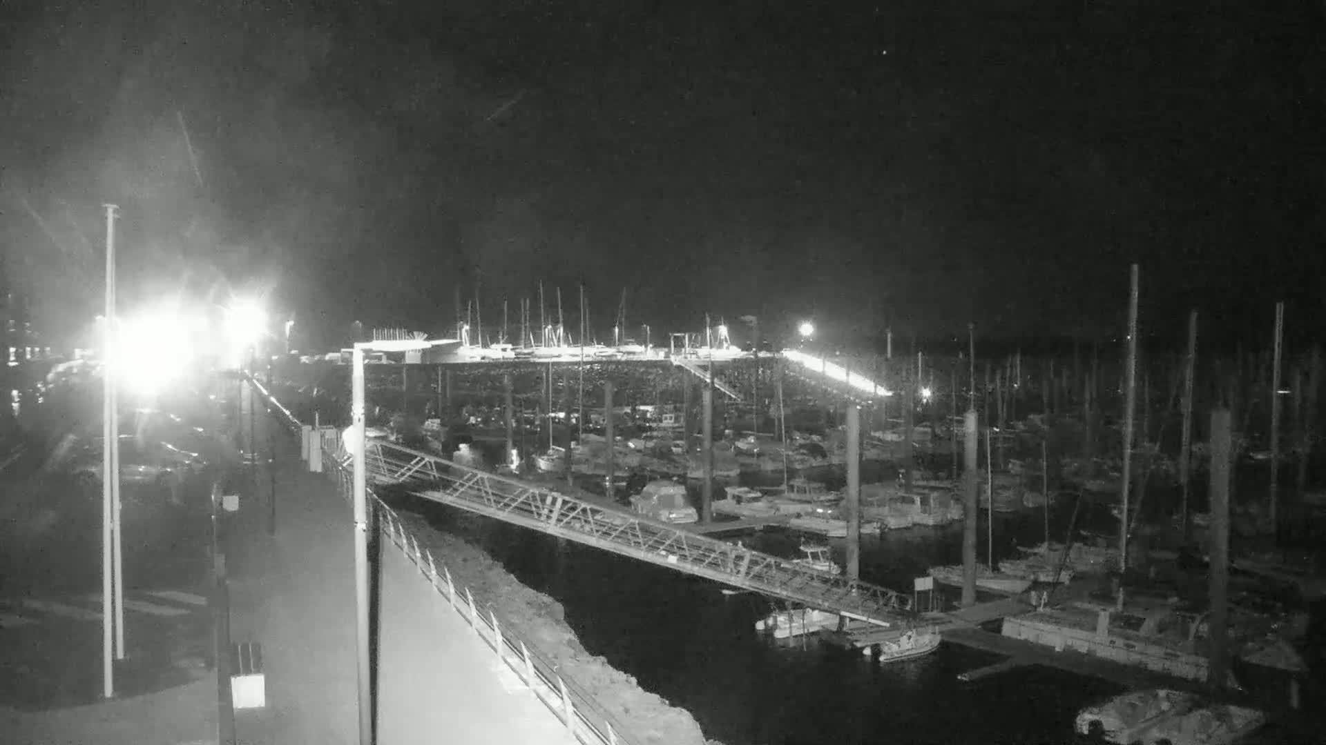 A nighttime, low-light view of a marina filled with docked boats under a dark, clear sky.