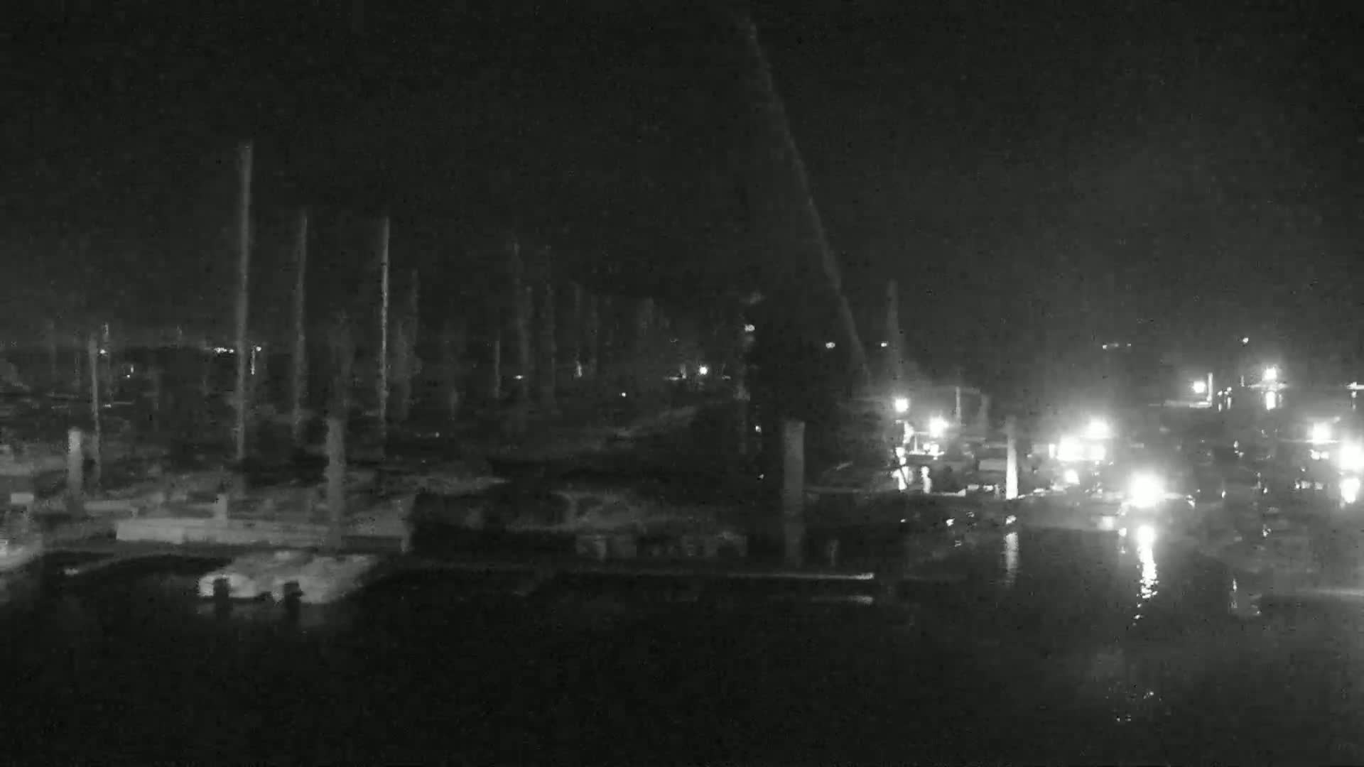 A nighttime, low-light view of a marina with numerous boats docked along numerous poles, some with faint lights visible.