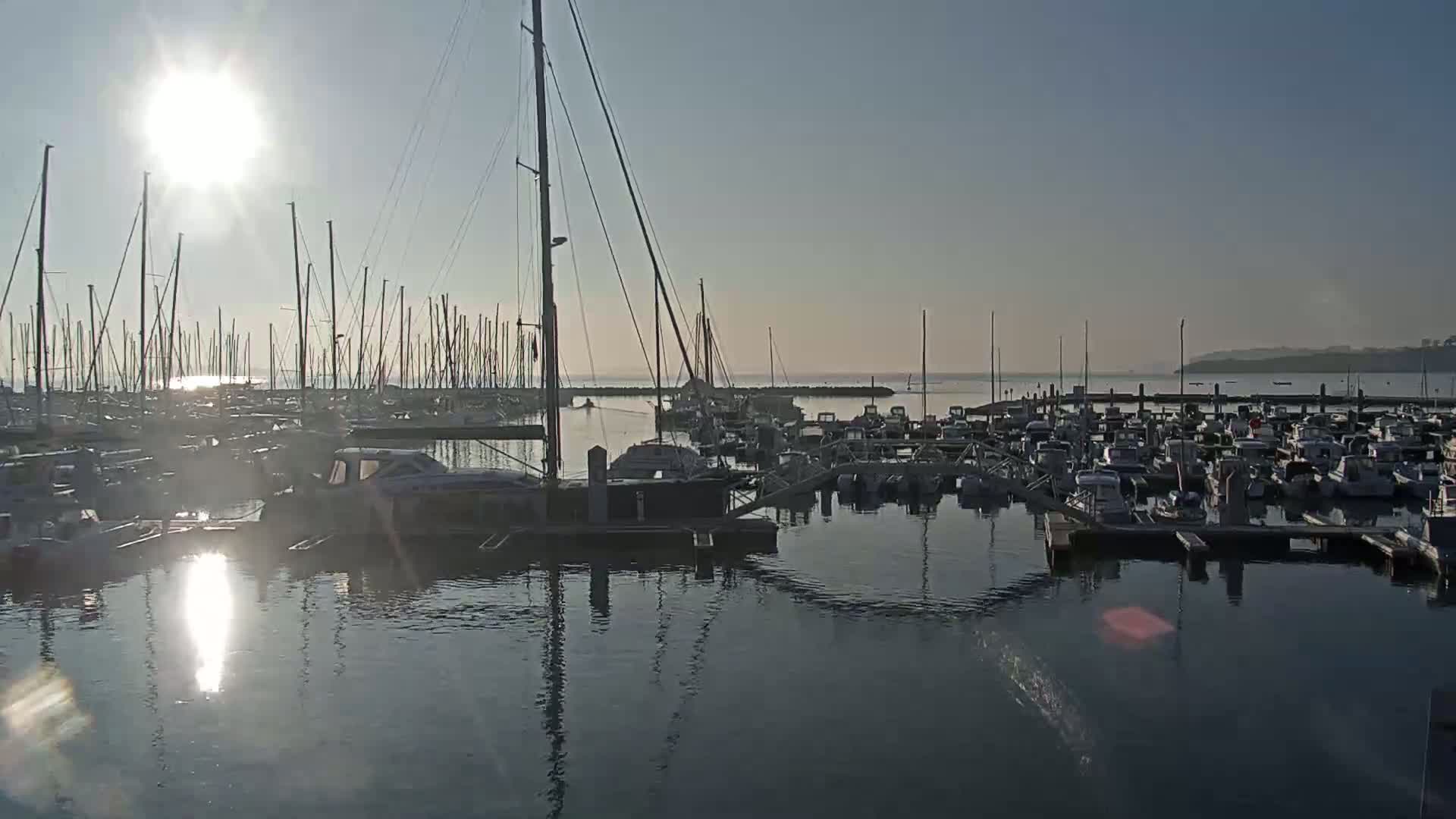 Numerous sailboats and motorboats are docked in a marina on a calm, sunny day.