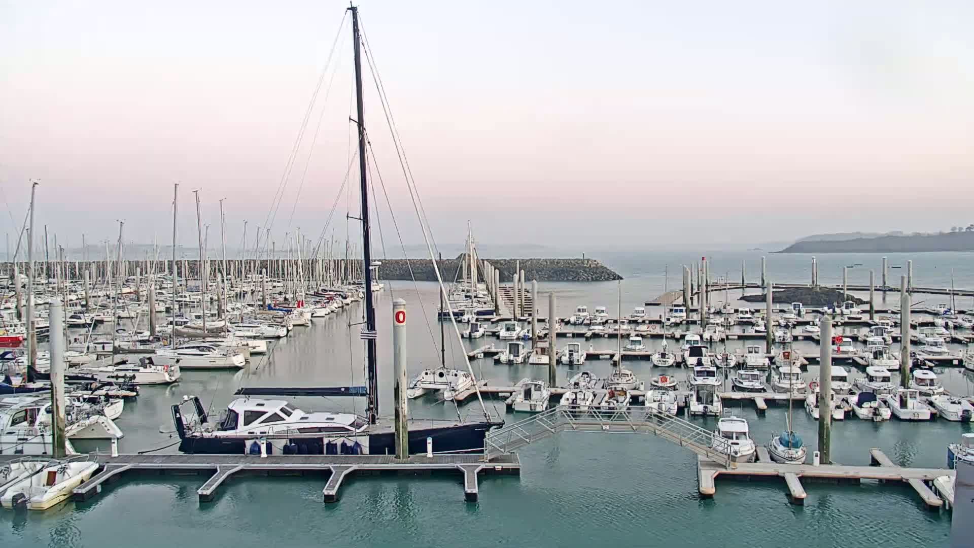 A marina filled with numerous sailboats and motorboats under a hazy, light-pink sky.