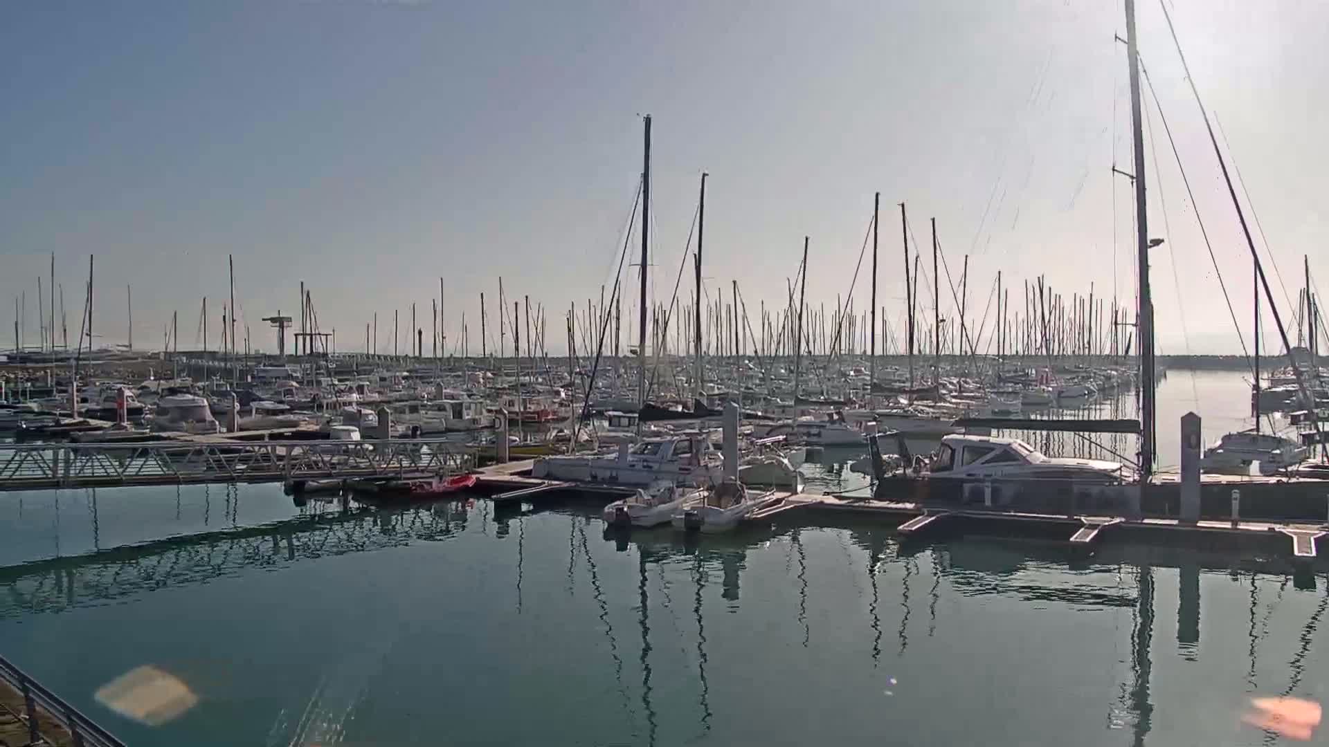 A calm, sunny day at a marina filled with numerous sailboats and motorboats docked along piers.