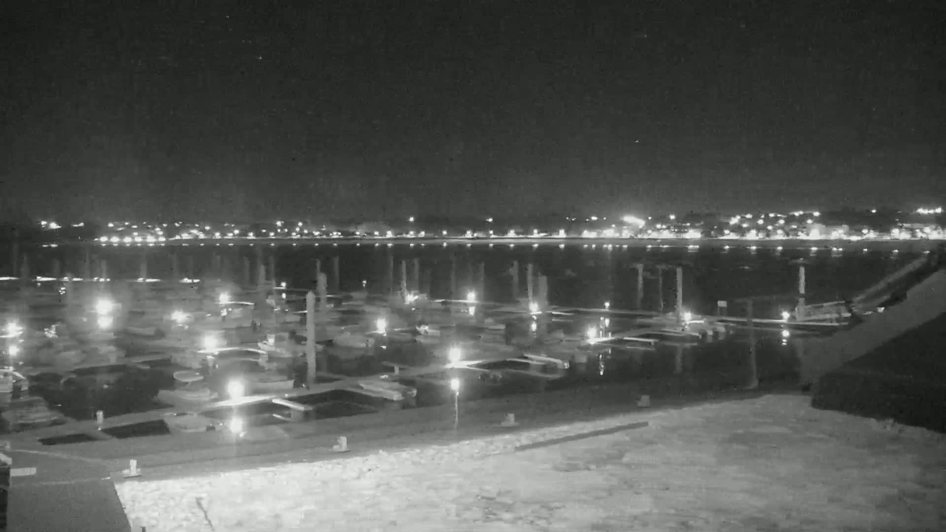 A nighttime view of a marina filled with docked boats, illuminated by lights, with a city skyline faintly visible across the water.