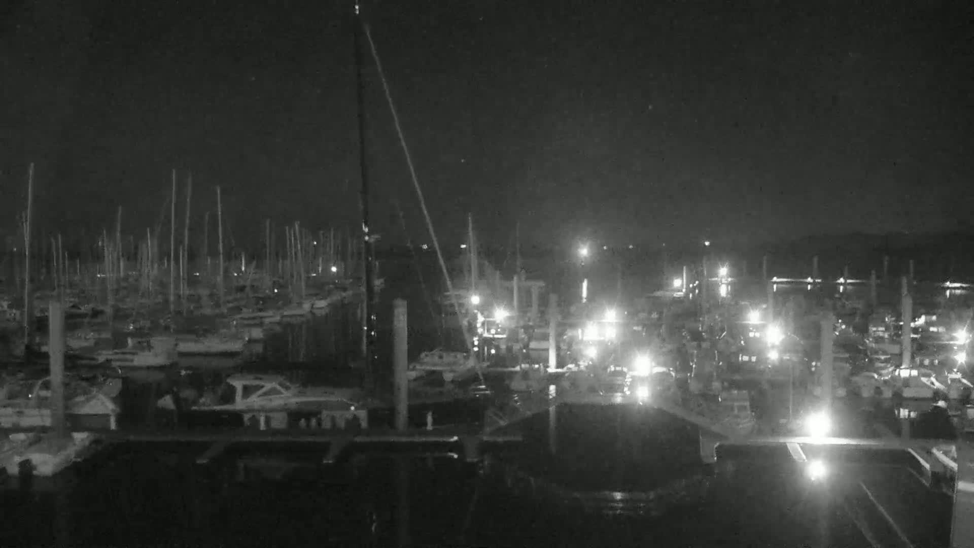 A nighttime view of a marina filled with numerous boats, illuminated by various lights under a dark sky.
