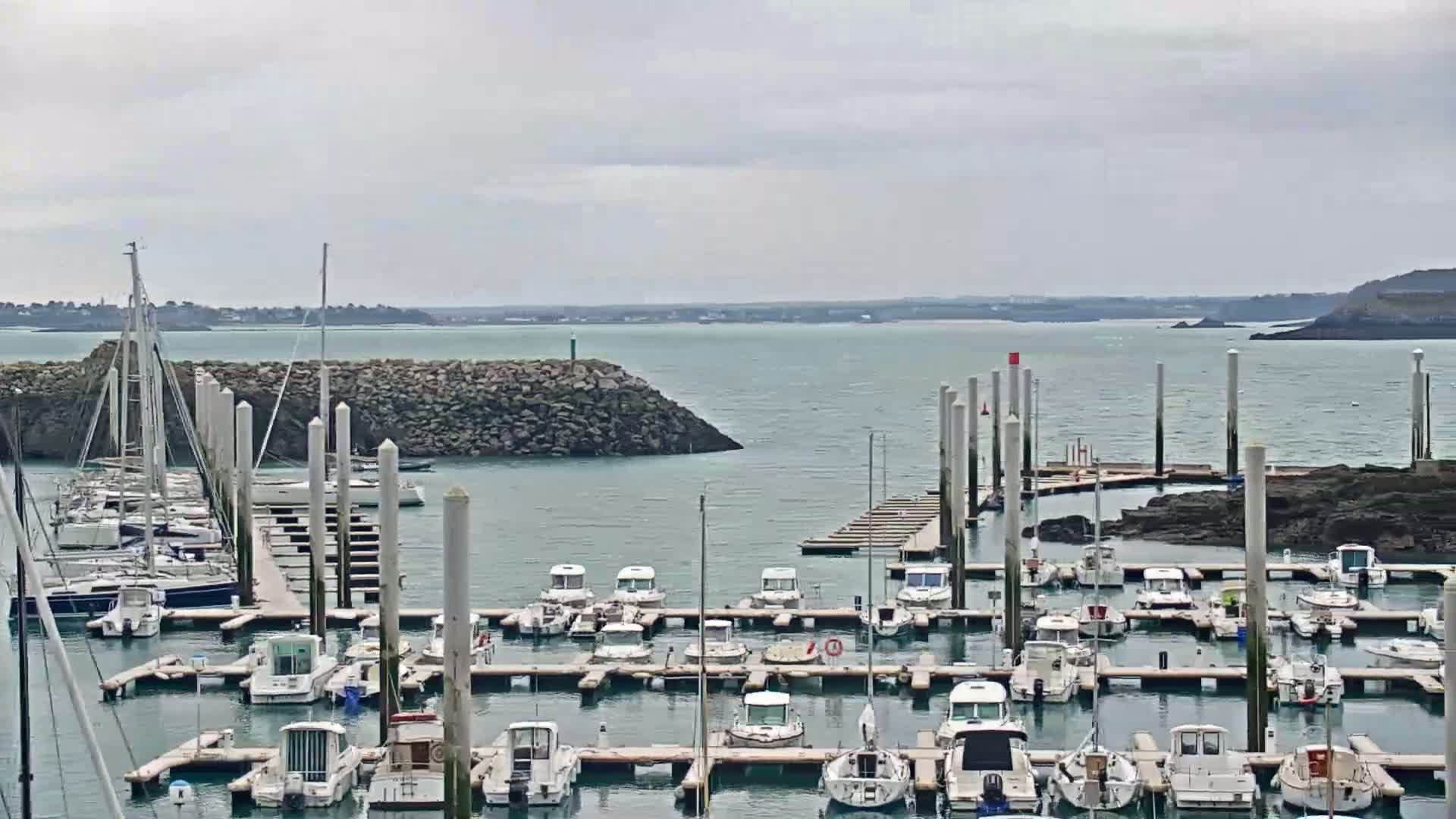 A marina filled with numerous boats of varying sizes is situated on a calm body of water under an overcast sky.