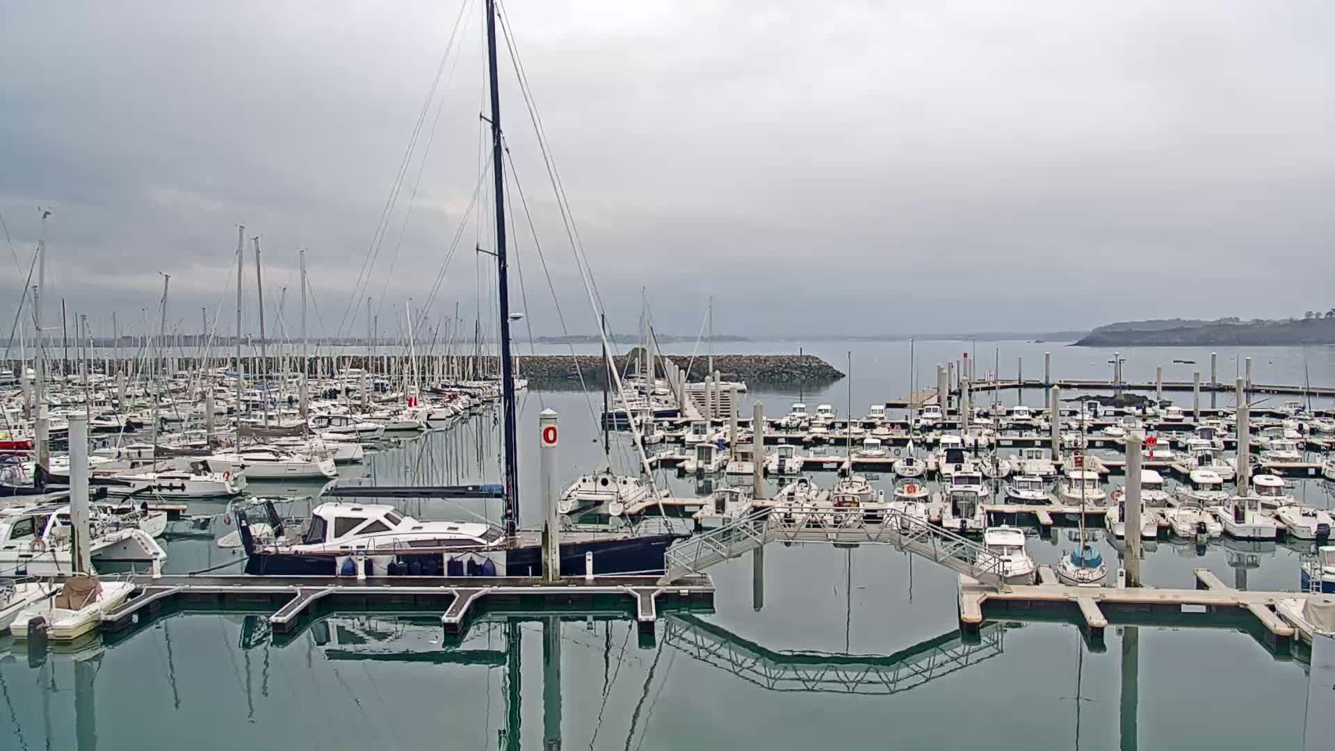 A marina filled with numerous sailboats and motorboats under an overcast sky.