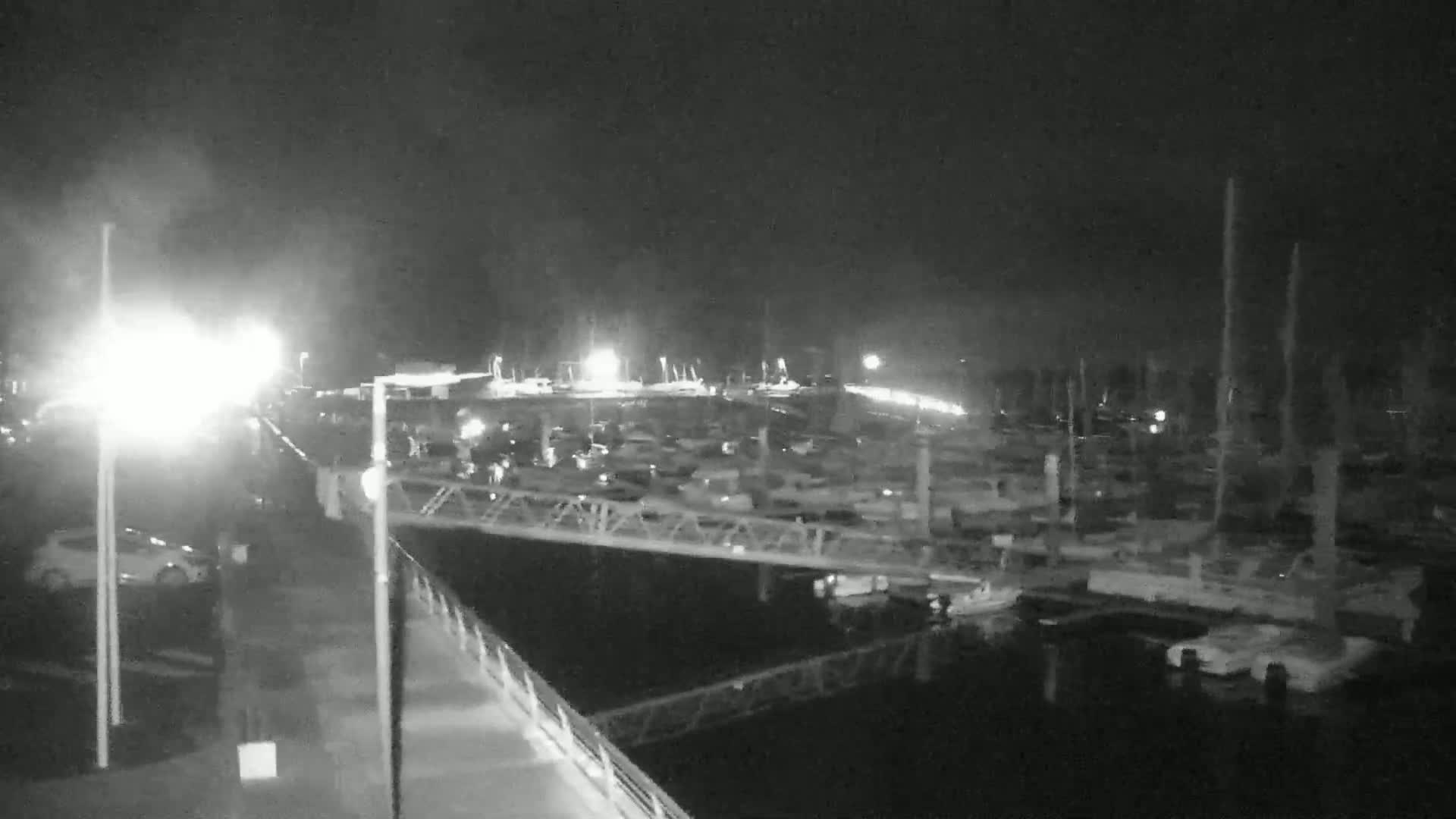 A nighttime view of a marina filled with numerous boats, illuminated by artificial lights under a dark sky.