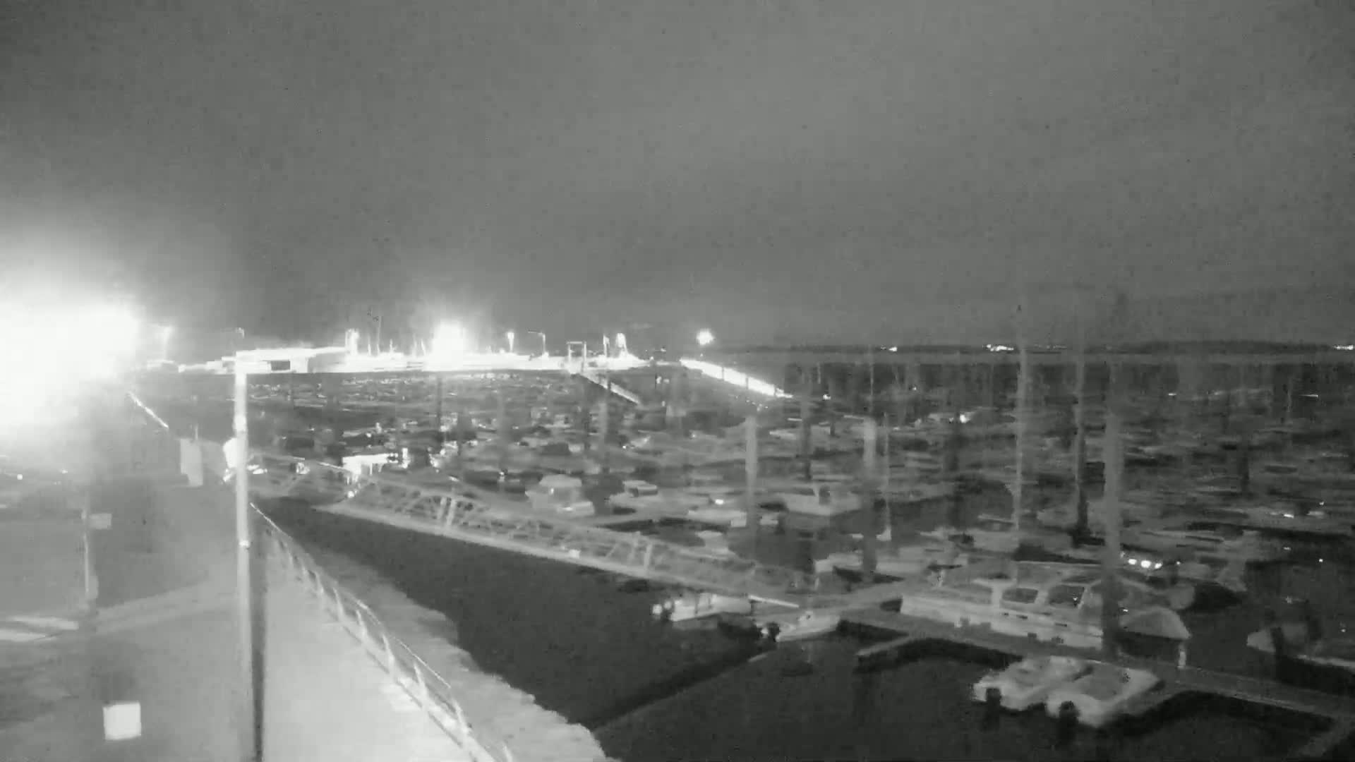 A nighttime, overcast view of a marina filled with numerous boats docked at the water's edge.