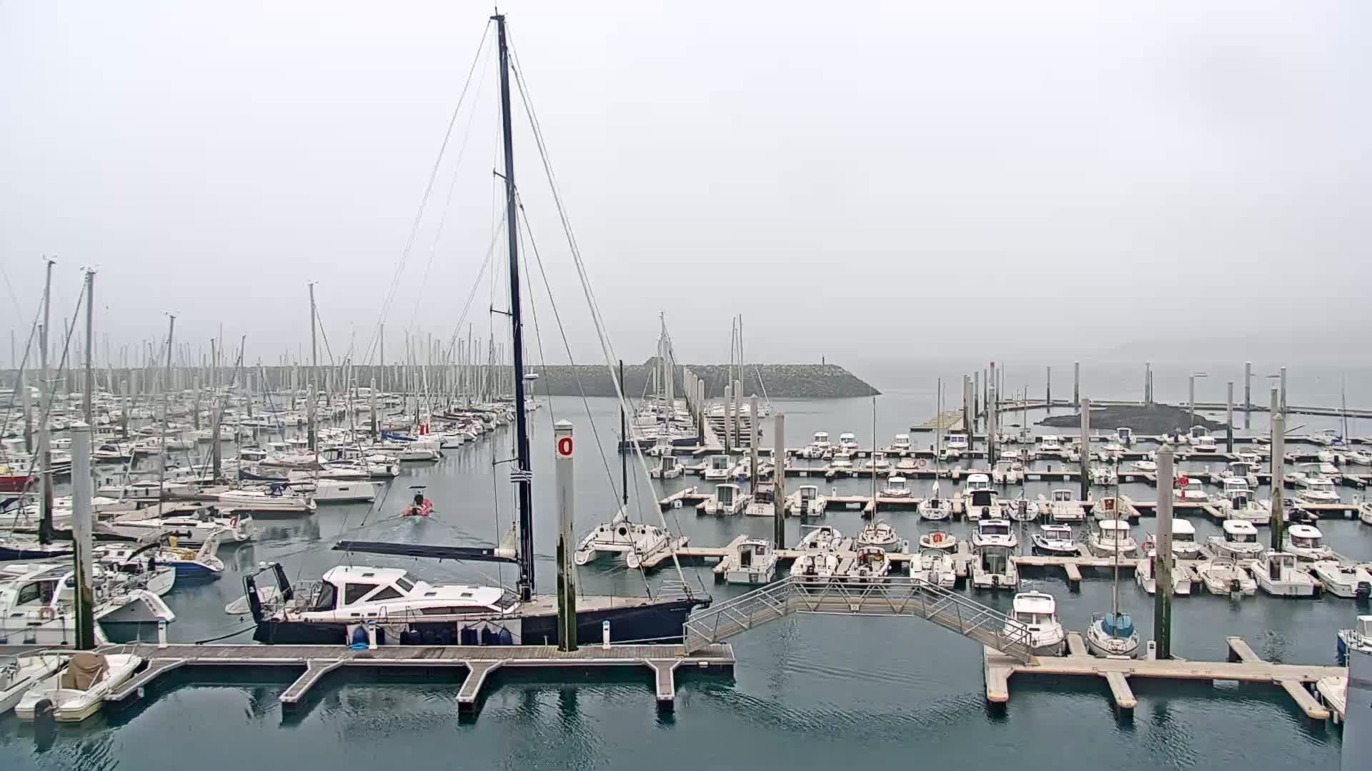 A large marina filled with numerous sailboats and motorboats on a foggy day.