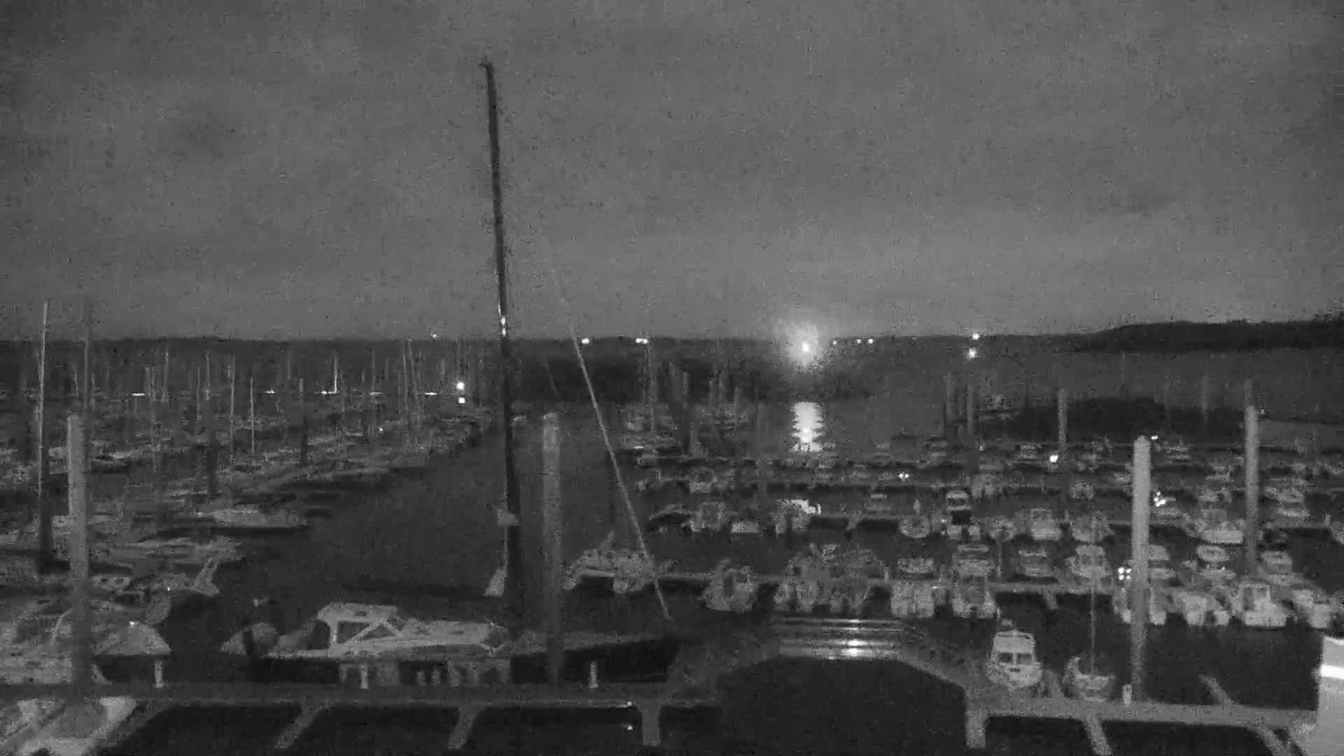 A nighttime view of a marina filled with numerous boats under a dark, possibly overcast sky.