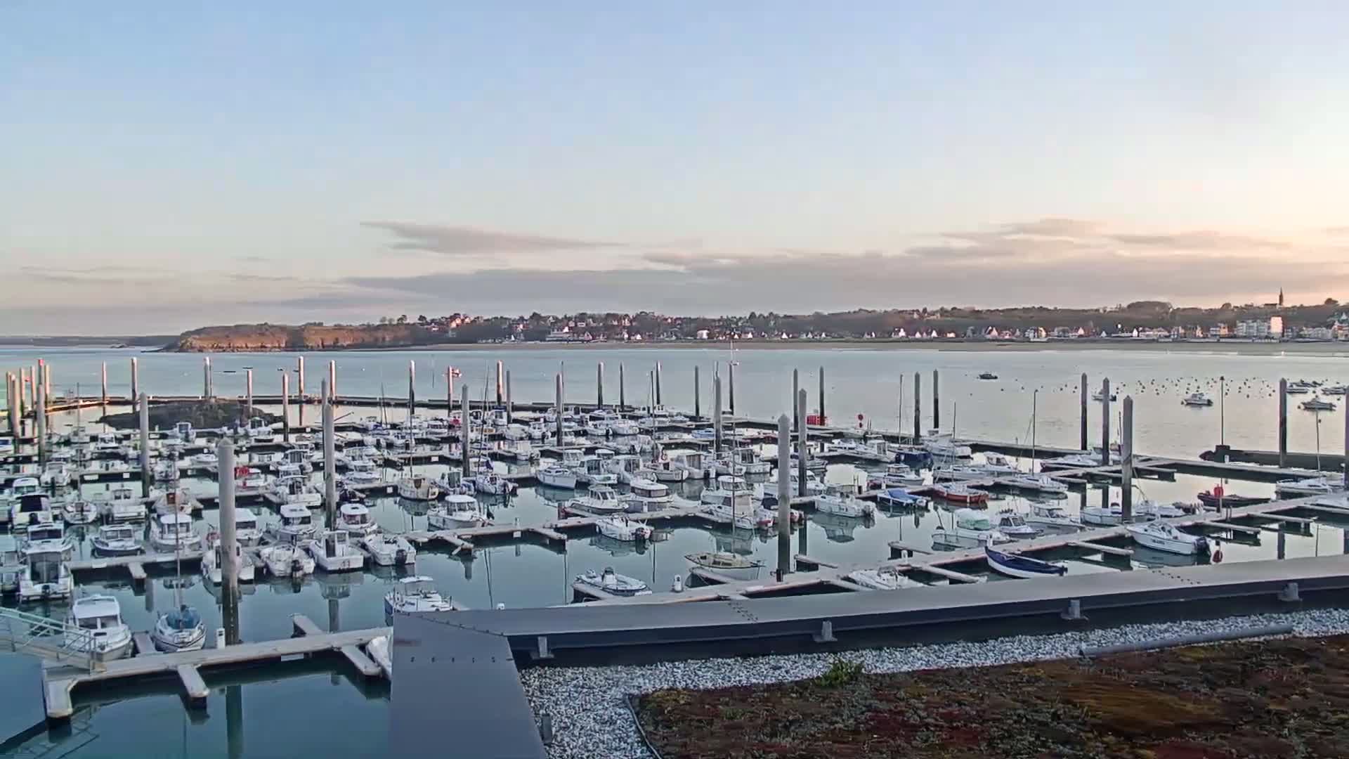 Many boats are docked in a marina on calm water, with a town and land visible in the distance under a clear, light-blue sky.