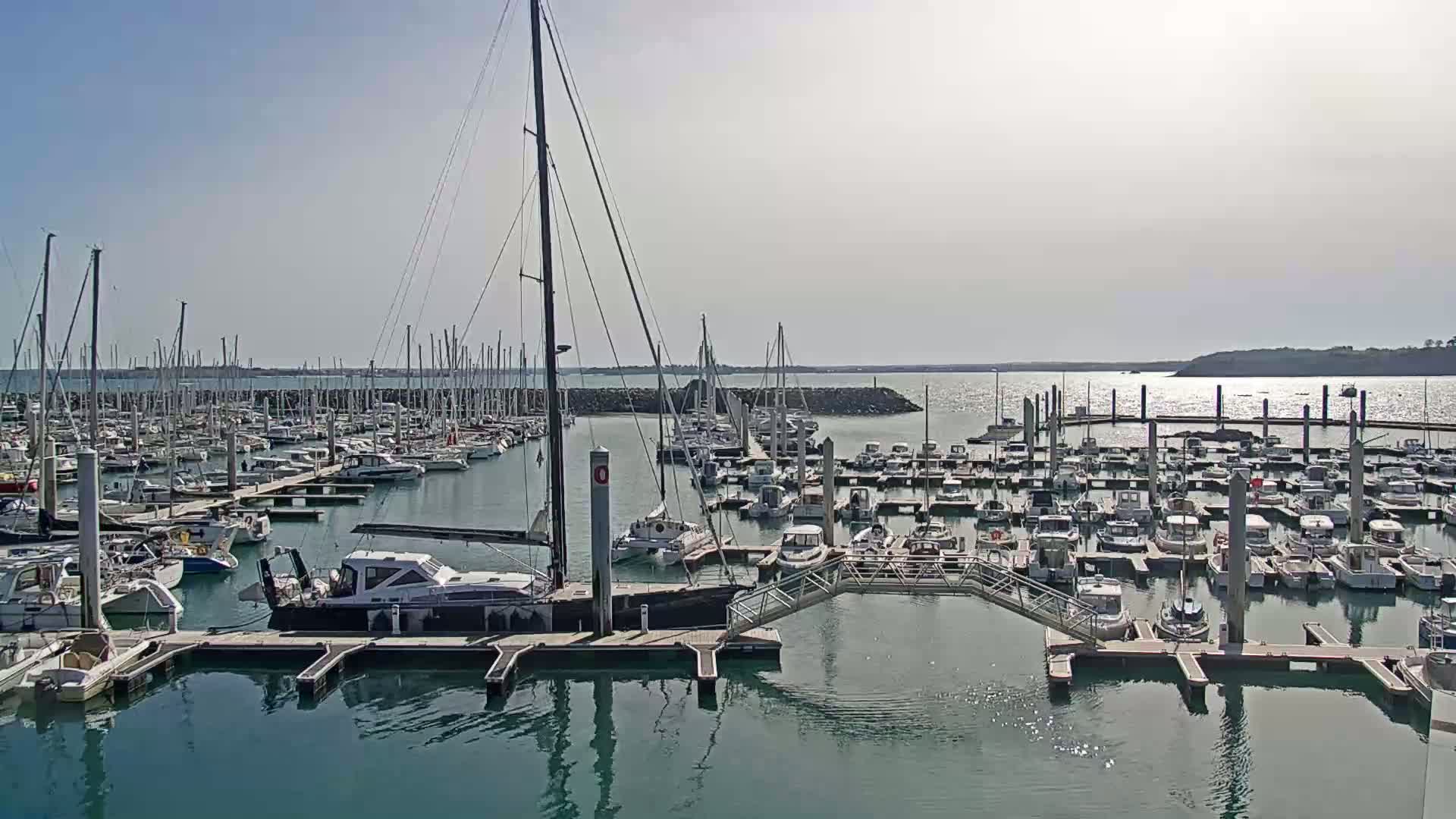 A large marina filled with numerous sailboats and motorboats is shown on a sunny day with calm water.