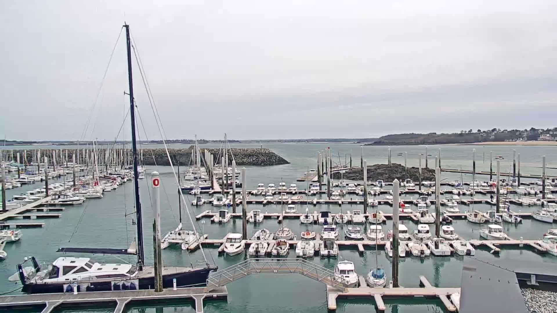 A large marina filled with numerous sailboats and motorboats on a calm, overcast day.