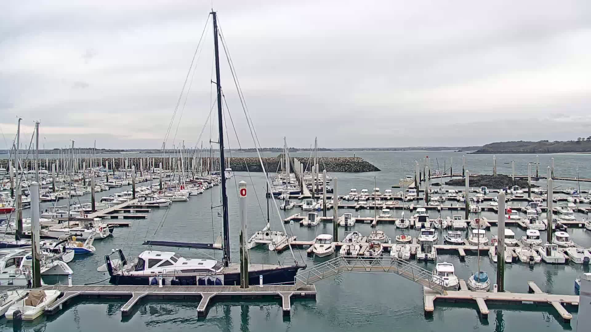 A large marina filled with numerous sailboats and motorboats under an overcast sky.