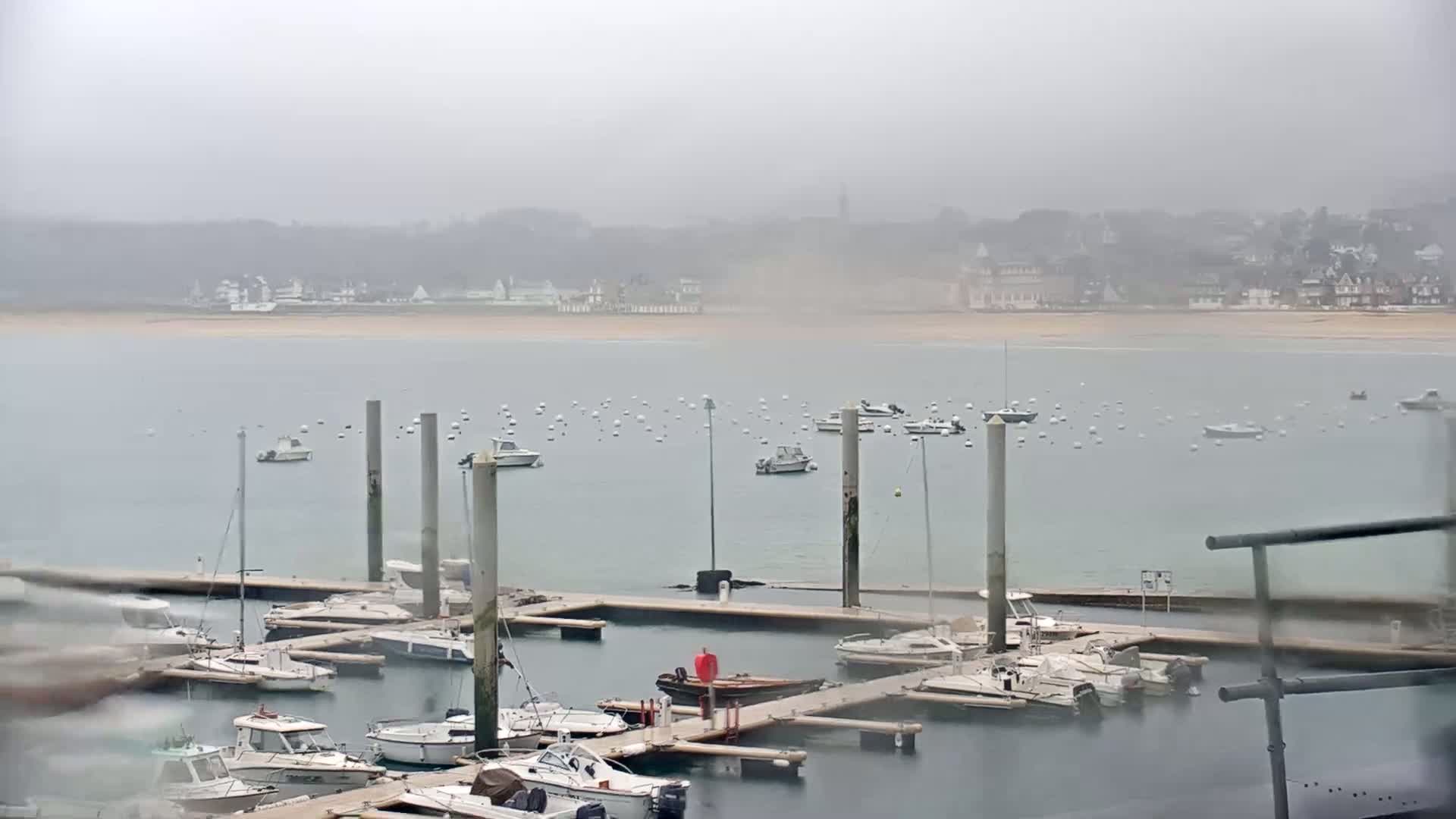 Numerous boats are moored at a marina on a foggy day, with a distant town visible across the water.