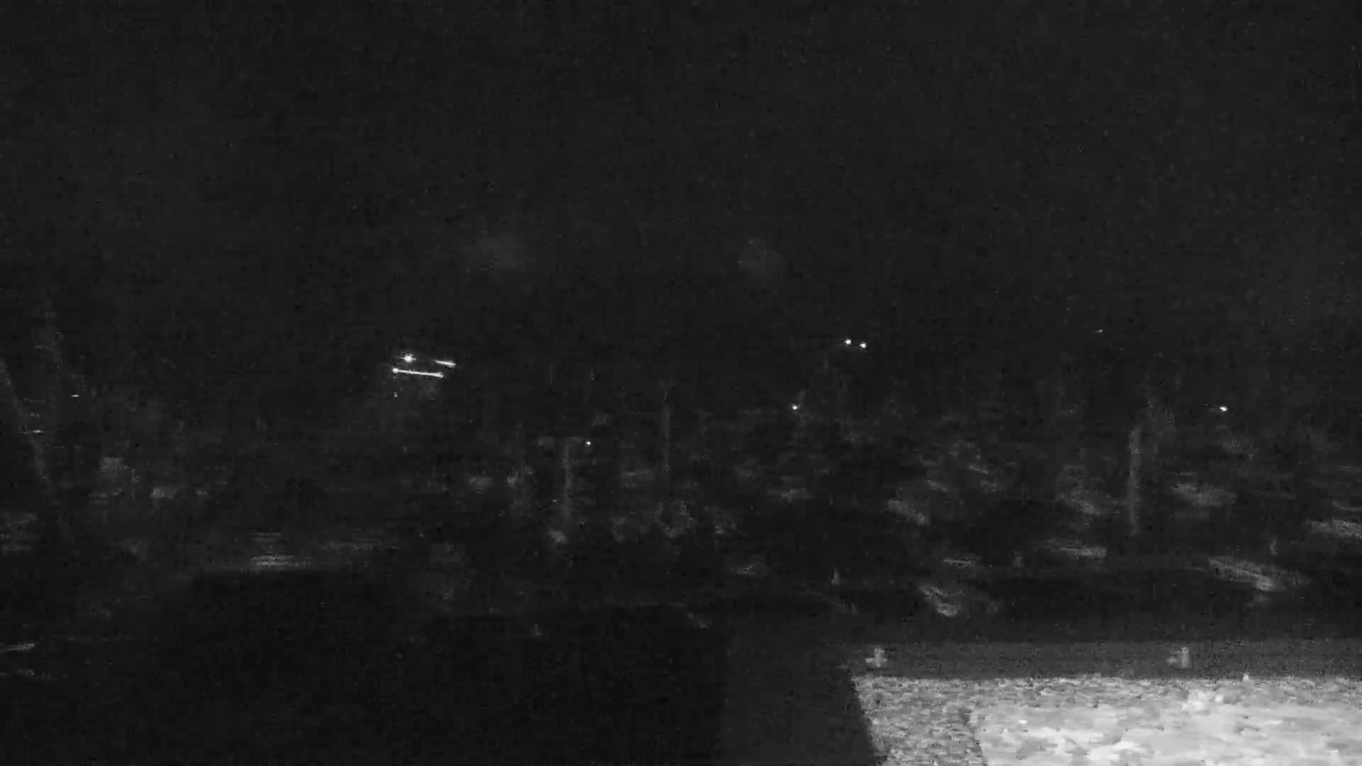 A nighttime, low-light view of a dark expanse possibly containing trees and other vegetation, sparsely lit by distant lights.