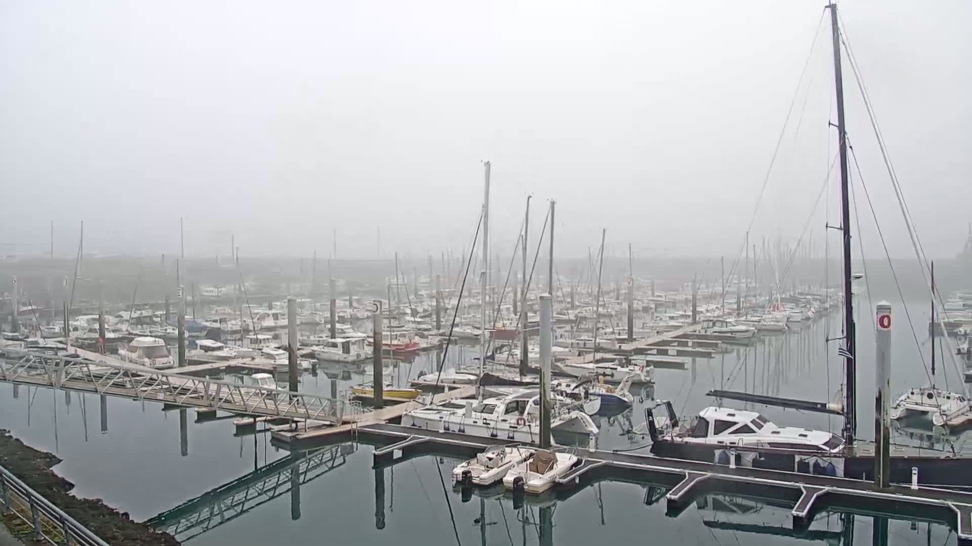 A marina filled with numerous sailboats and motorboats is shrouded in a thick fog.