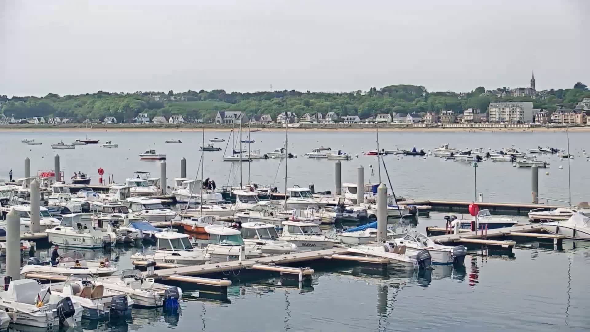 A marina filled with numerous motorboats and sailboats is situated in calm water, with a shoreline of houses and trees visible in the background on a mostly clear day.