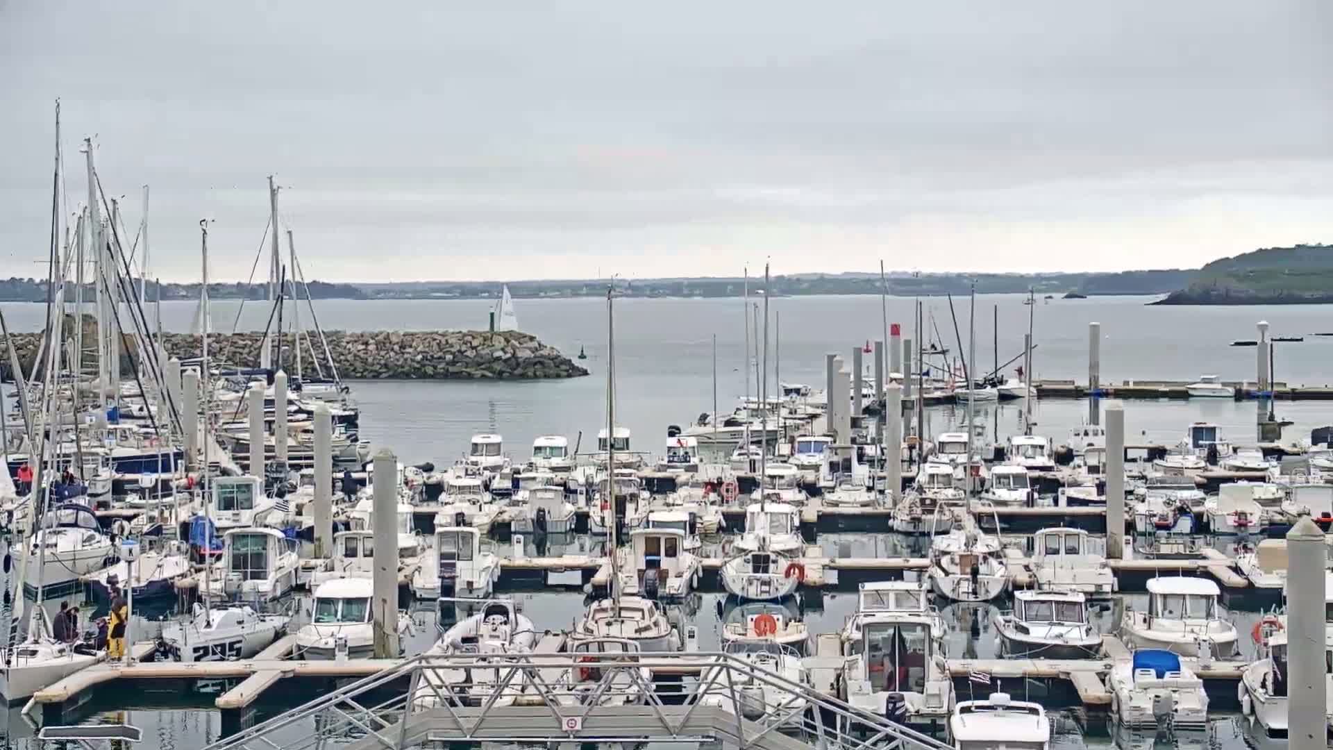 A marina filled with numerous boats of various sizes is seen on an overcast day.