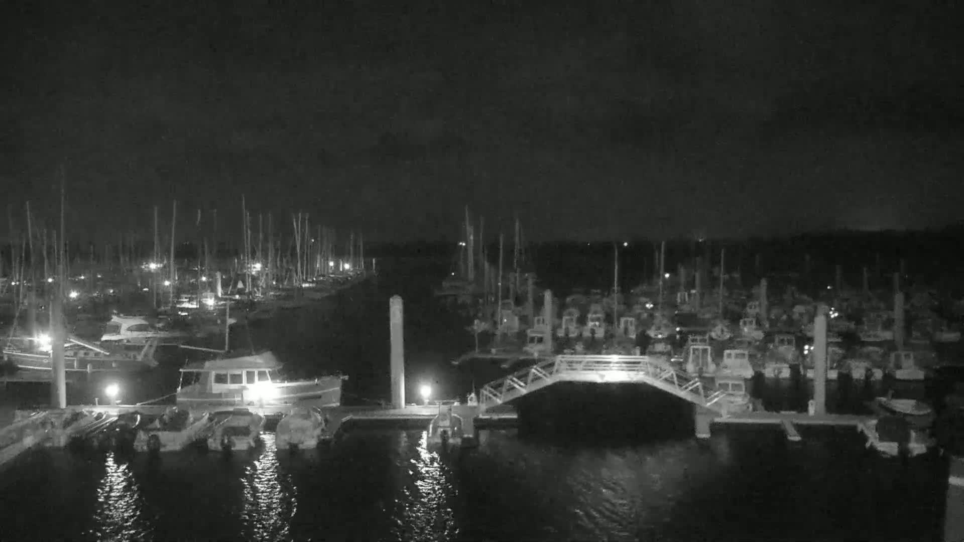 A nighttime view of a marina filled with numerous boats docked alongside piers and walkways under a dark, cloudy sky.