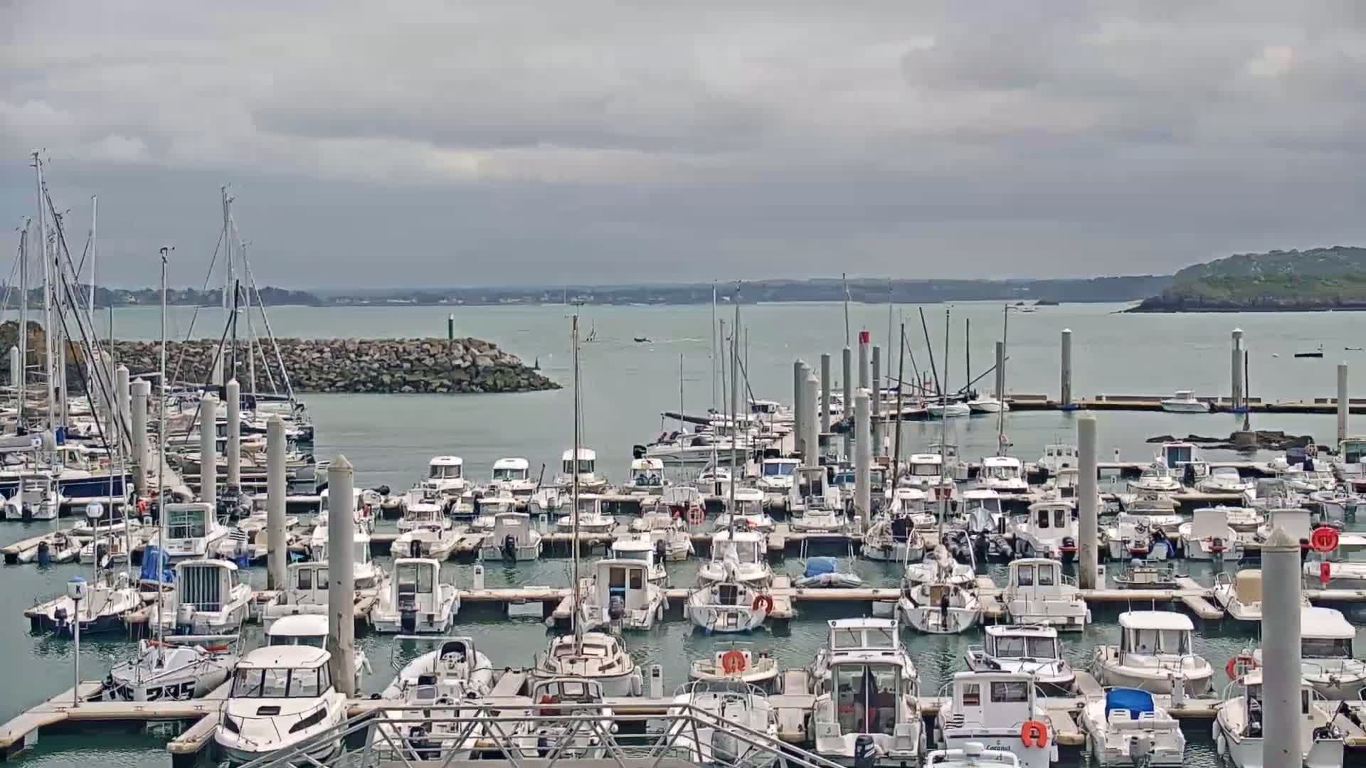 A harbor filled with numerous boats of various sizes is shown under an overcast sky.