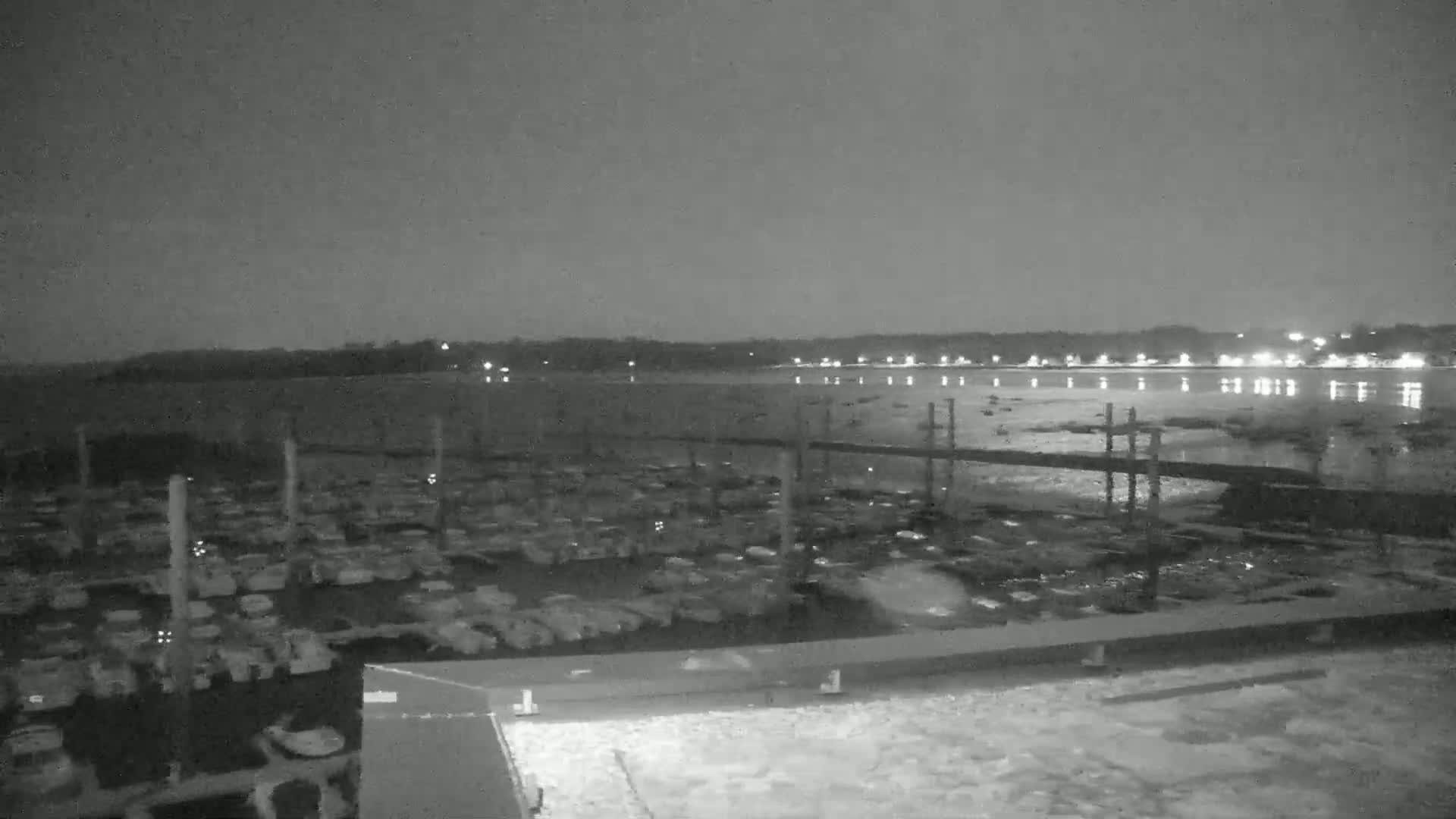 A nighttime, grayscale view shows a marina filled with numerous boats, a calm body of water reflecting lights from a distant shoreline under a dark sky.