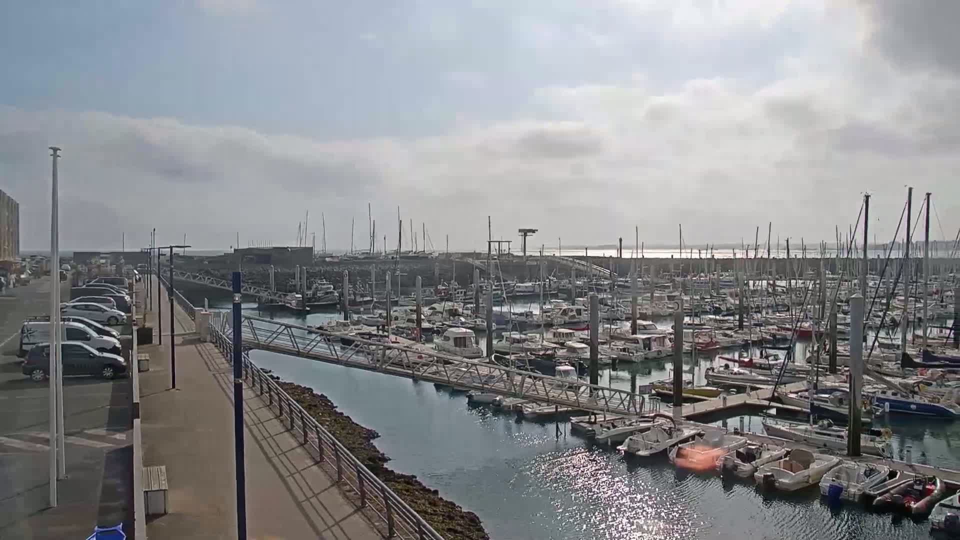 A sunny day at a marina shows many boats docked in calm water, with a walkway and parking lot nearby.