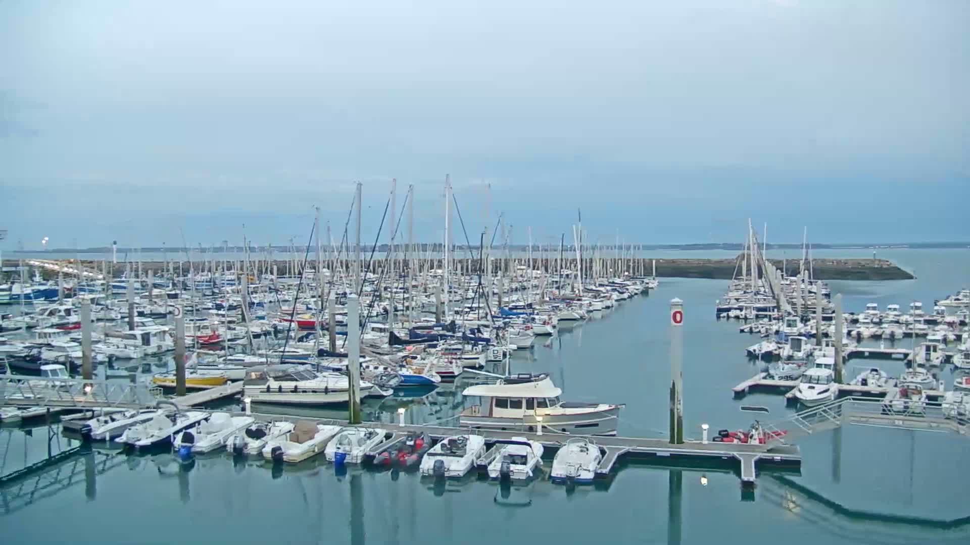 A calm, overcast day at a marina filled with numerous sailboats and motorboats docked at piers.