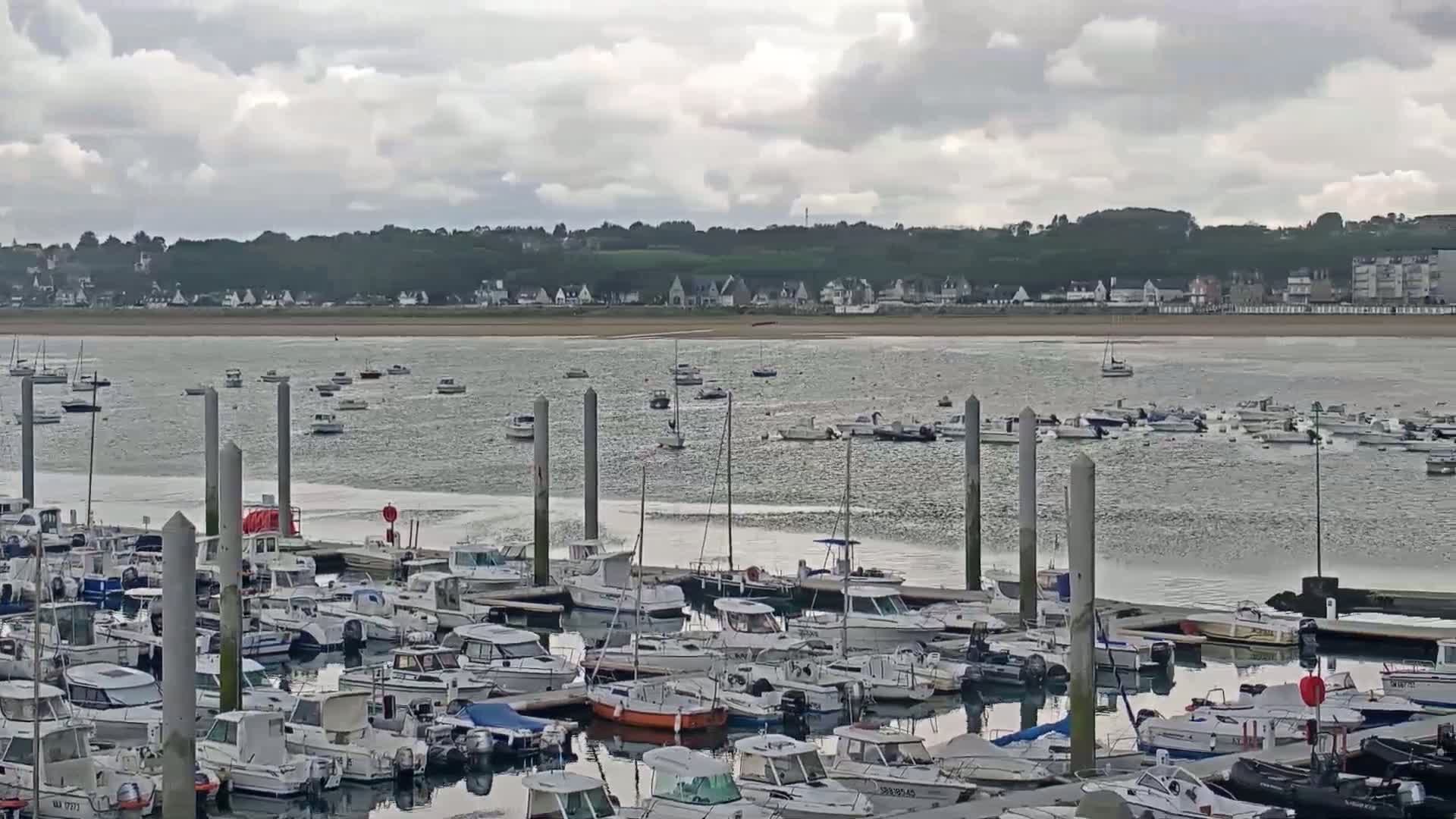 A marina filled with many boats is shown under a cloudy sky, with a sandy shore and distant houses visible across the water.