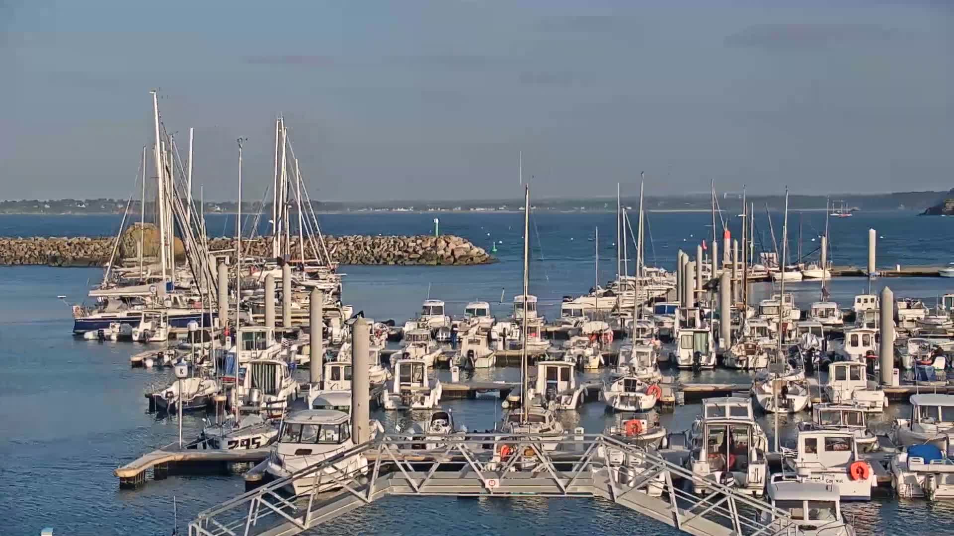 A marina filled with numerous sailboats and motorboats is seen on a calm, sunny day.