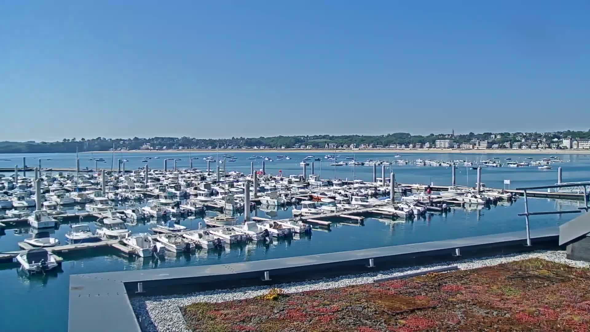 A marina filled with numerous white boats is situated on calm, blue water under a clear, sunny sky, with a distant shoreline visible in the background.