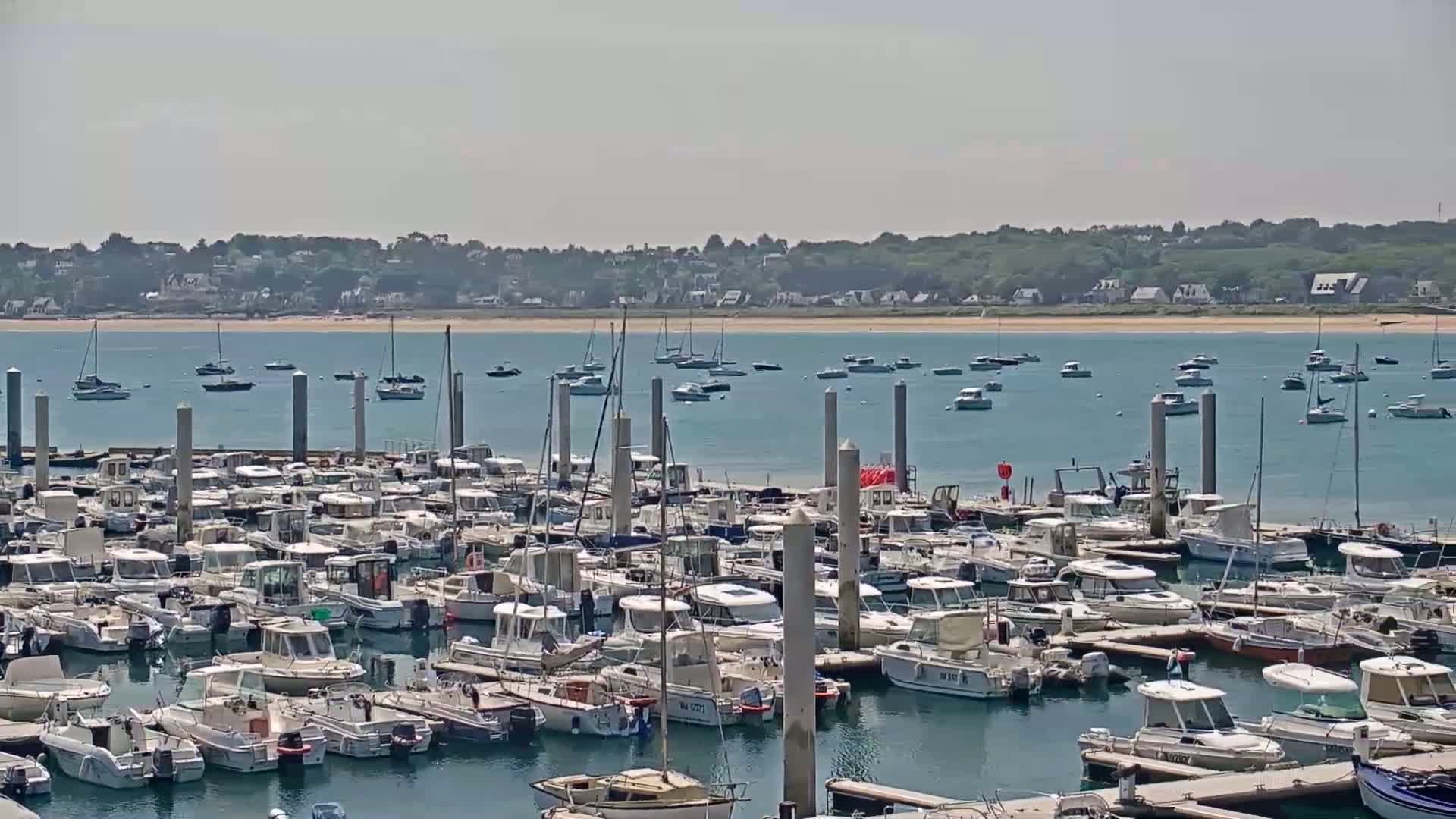 A marina filled with numerous boats is situated in calm water, with a shoreline and distant houses visible under a clear sky.
