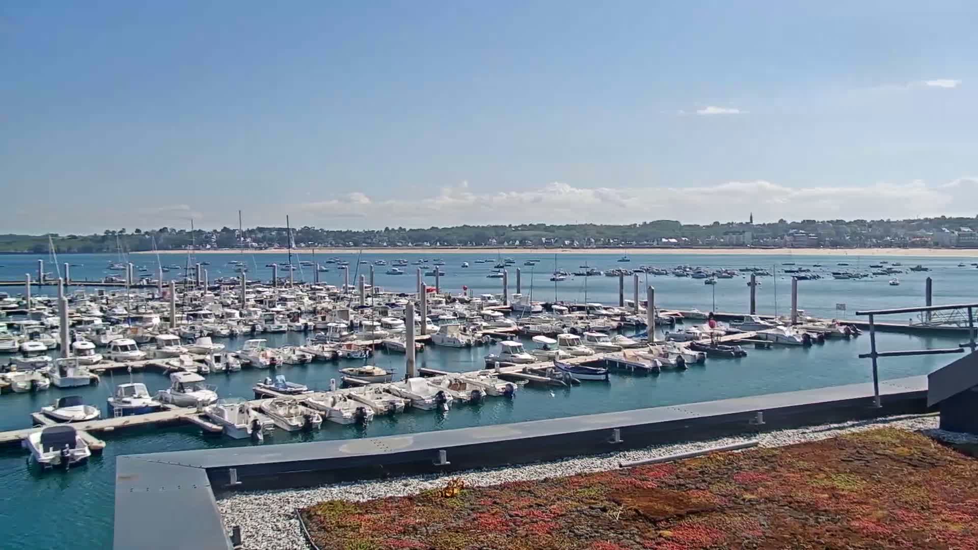 A marina filled with numerous white boats is situated near a town on a sunny day with a calm body of water extending to the horizon.