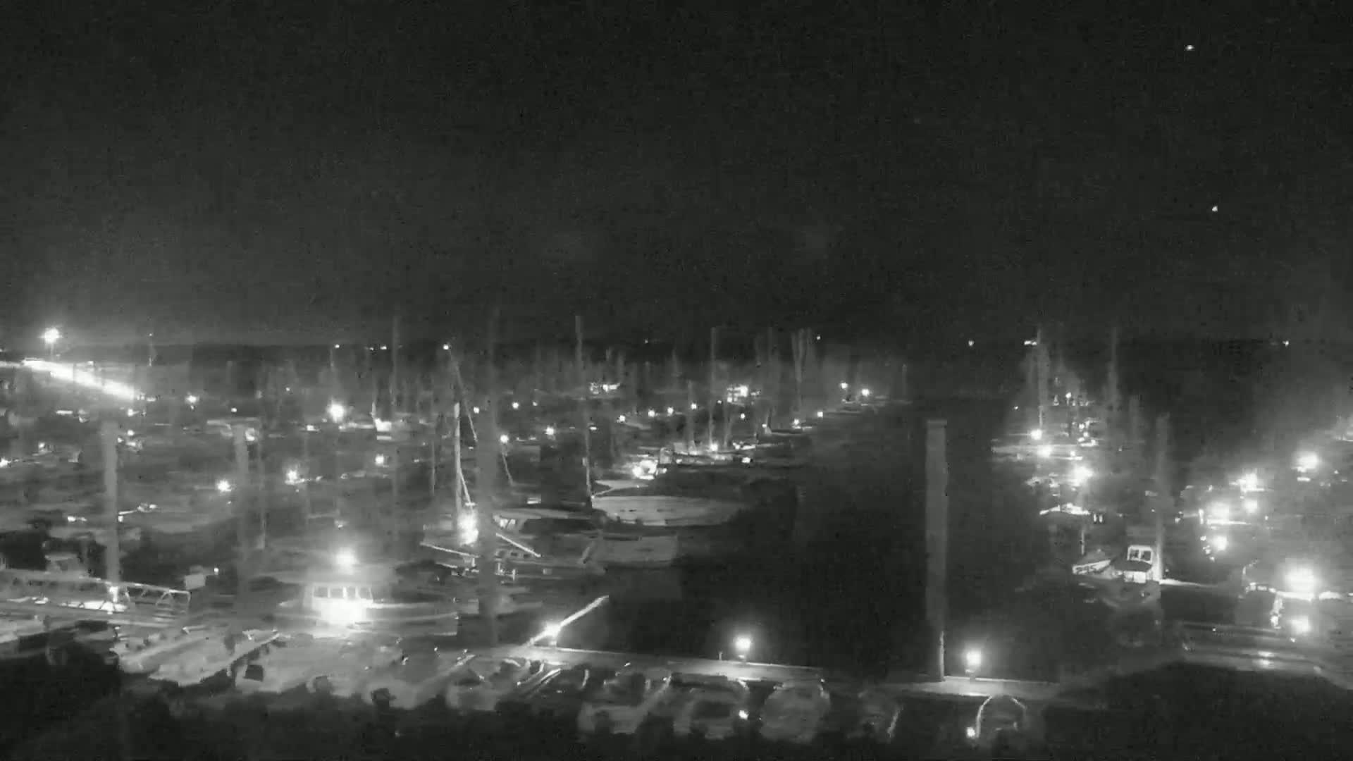 A nighttime, high-angle view of a marina filled with numerous boats illuminated by scattered lights.