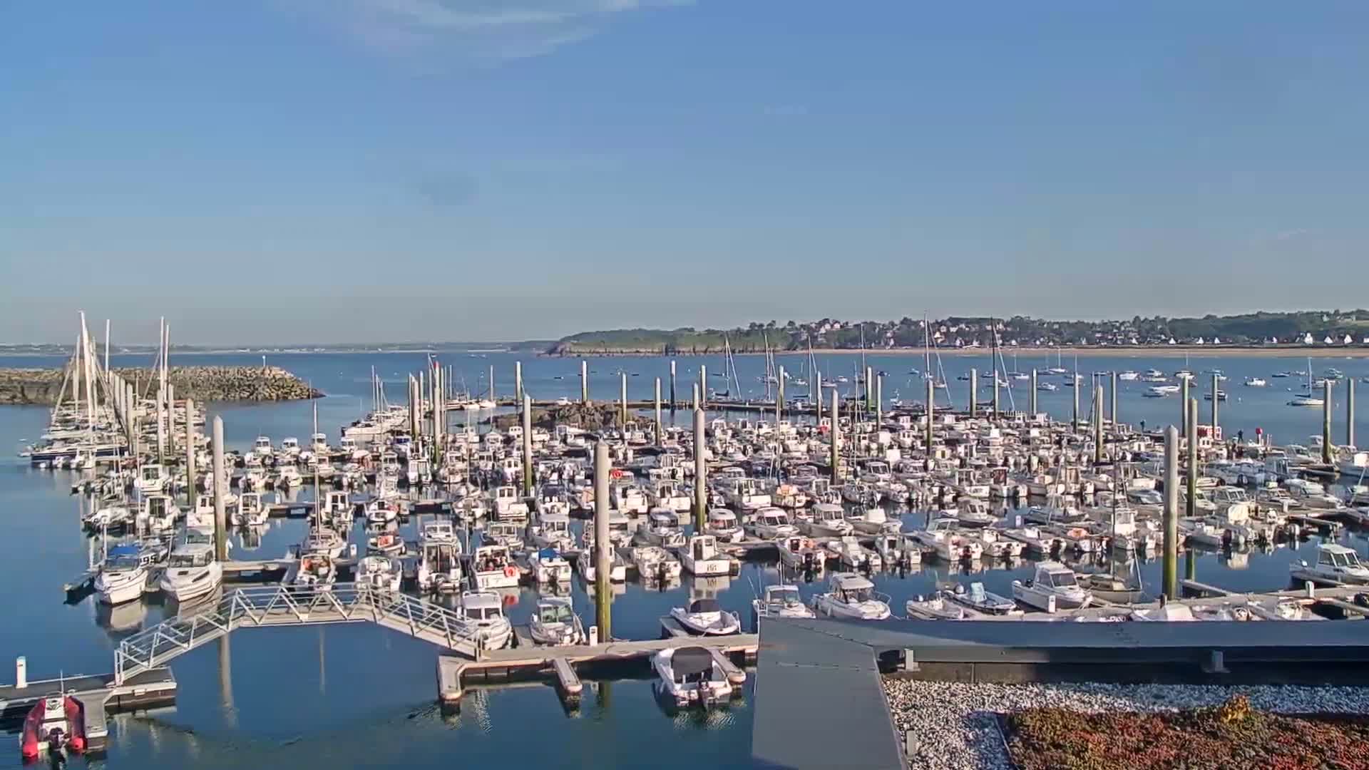 A large marina filled with numerous boats is shown on a sunny day, with calm water and a distant shoreline visible.