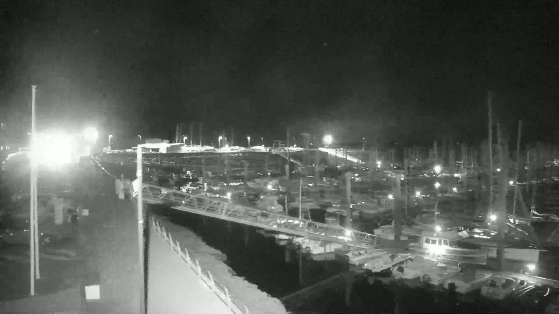 A nighttime, low-light view of a marina filled with numerous boats docked alongside a pier.