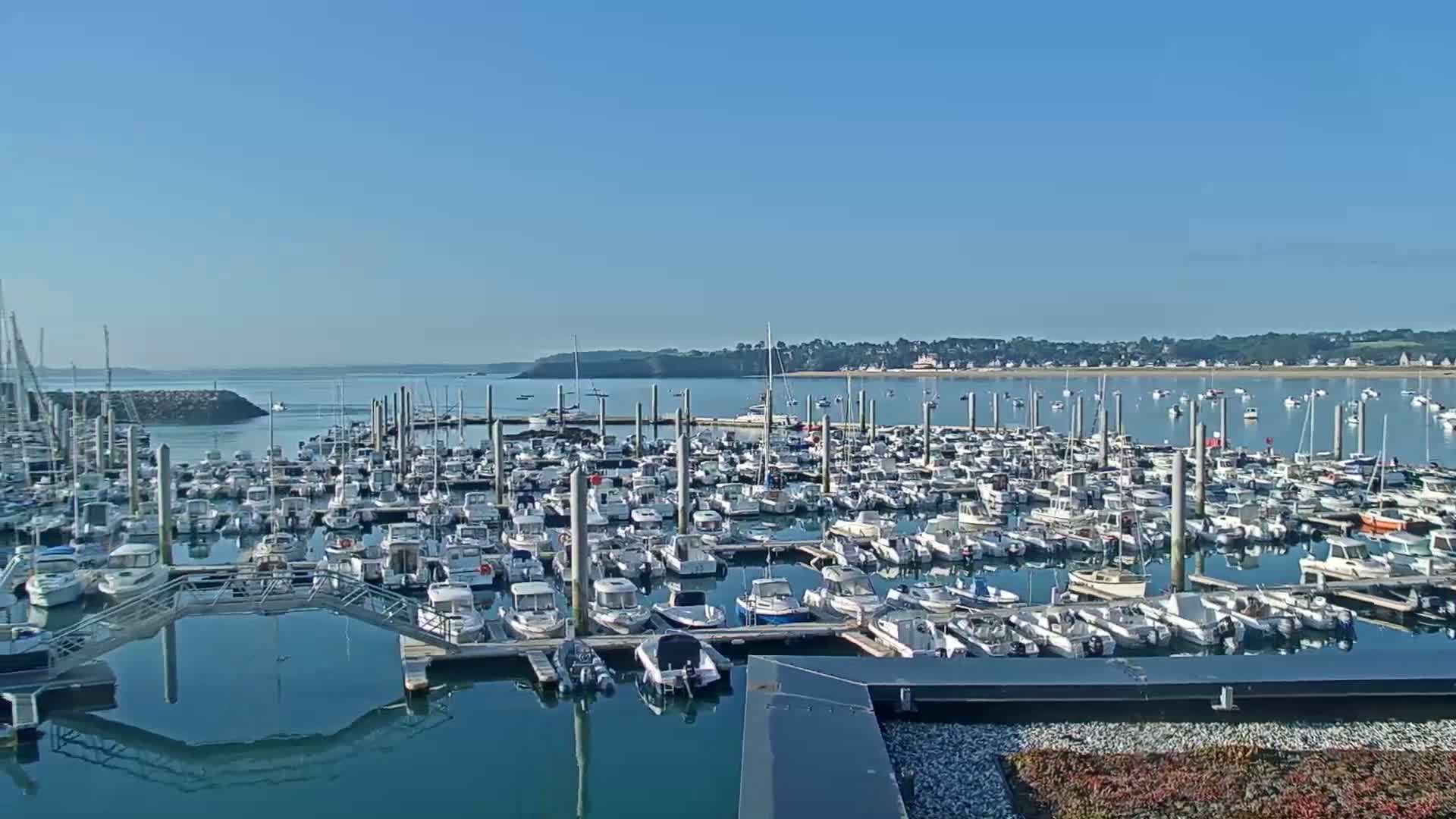 A large marina filled with numerous boats is shown on a calm, sunny day, with a calm body of water and distant land visible in the background.