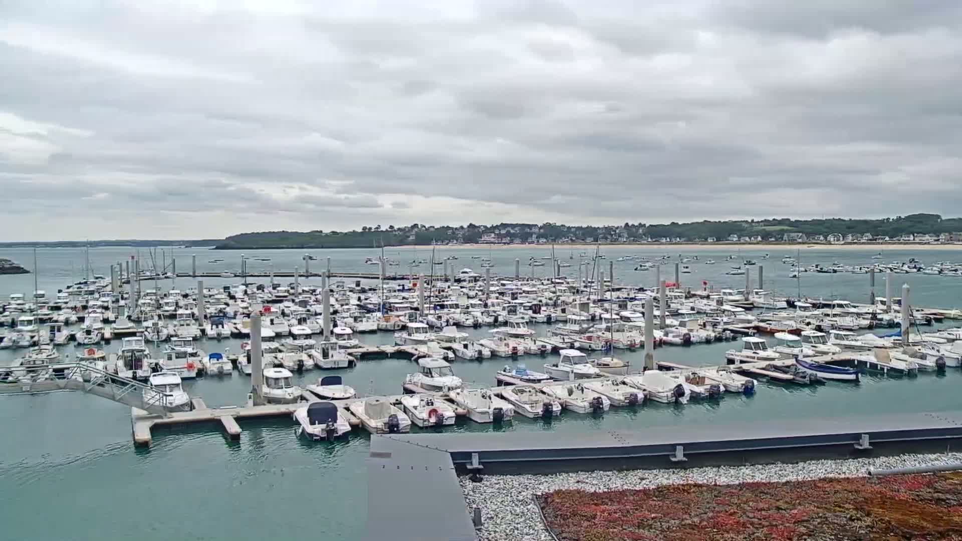 A large marina filled with numerous boats is situated on calm, greenish-blue water under an overcast sky.