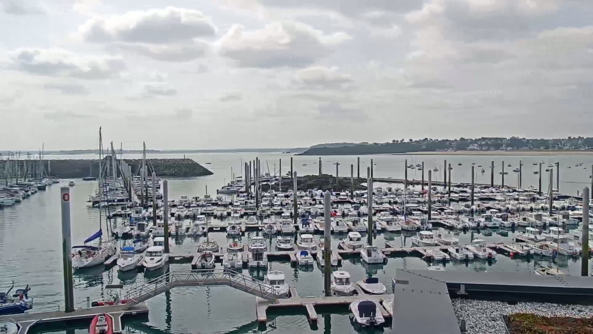 A large marina filled with numerous boats is situated on calm water under a cloudy sky.