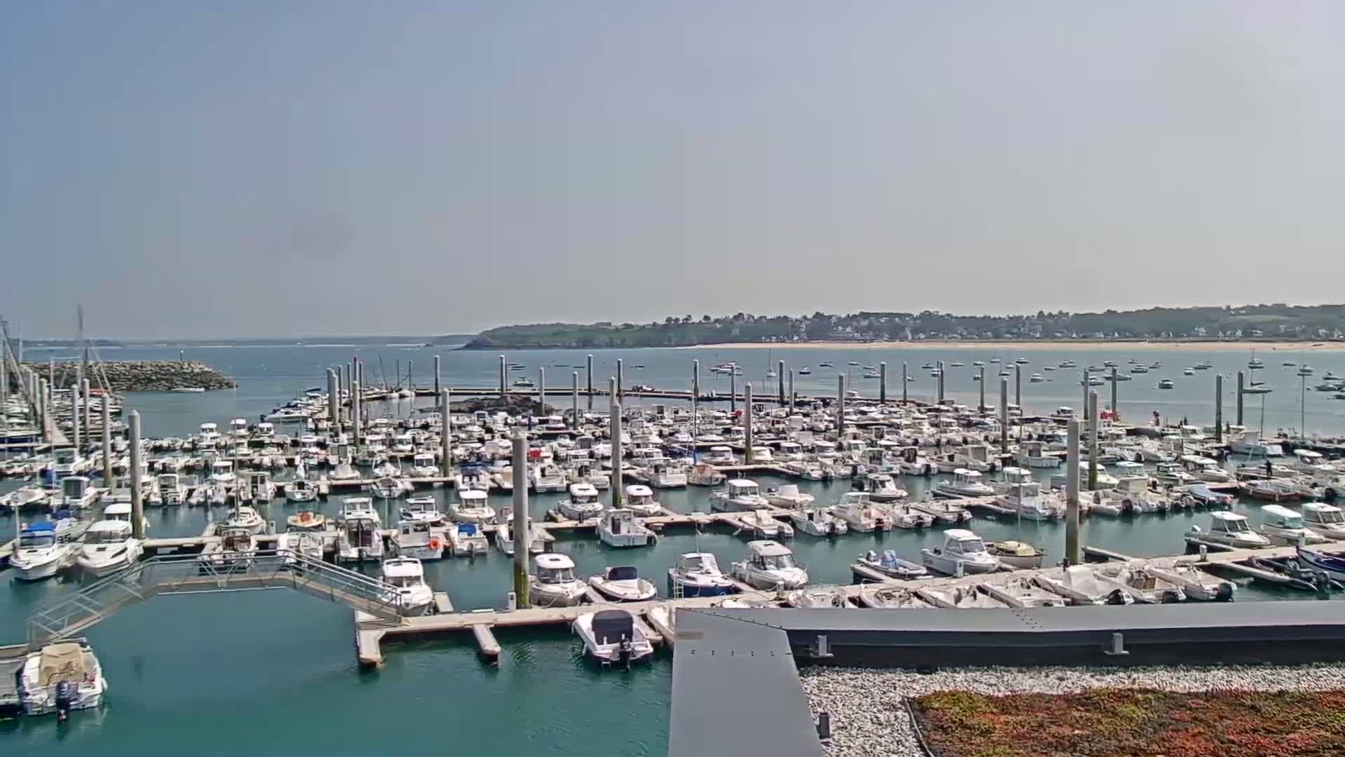 A large marina filled with numerous boats is seen on a sunny day, with calm water and a distant shoreline visible.