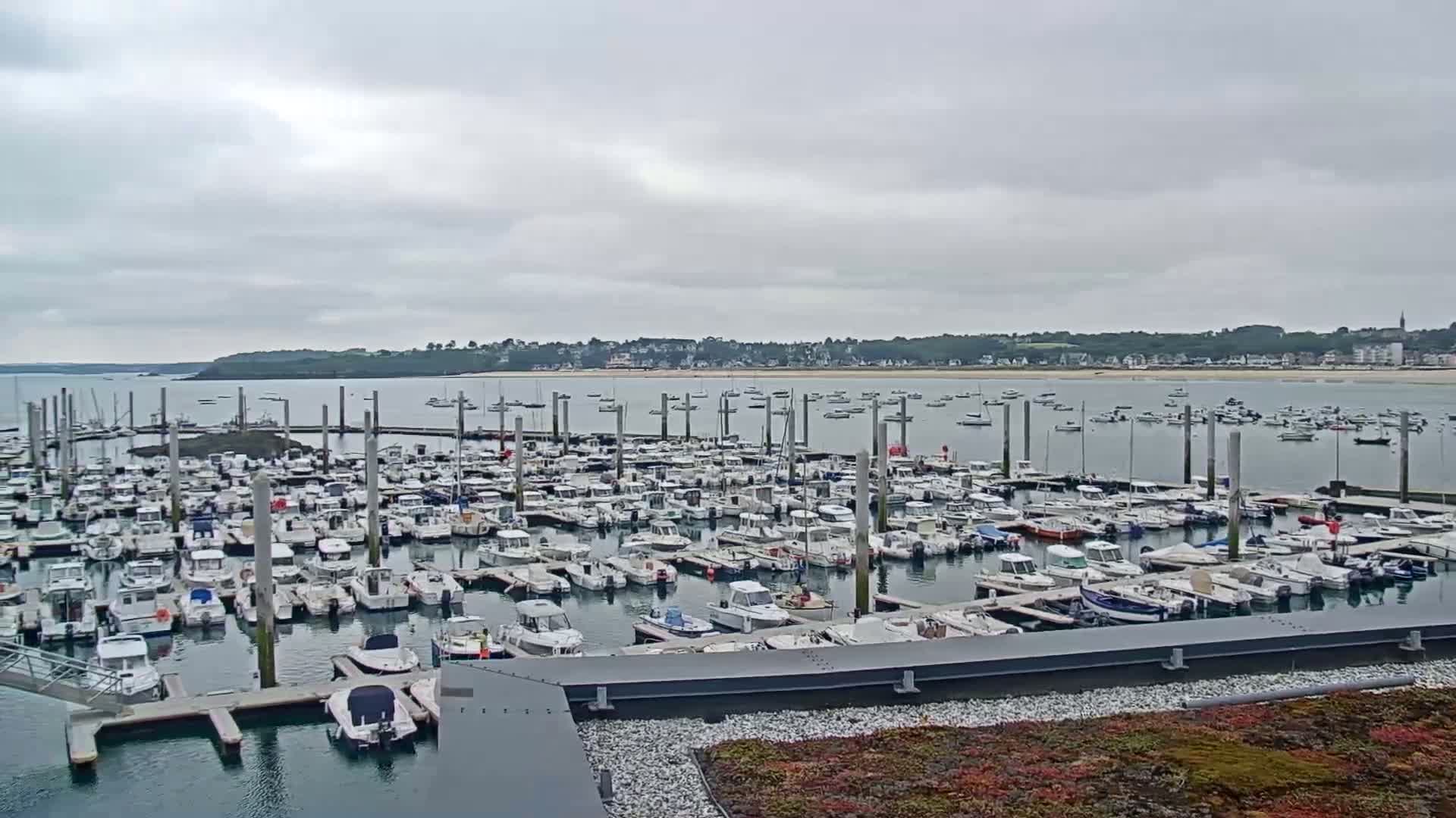 A large marina filled with numerous boats is situated on calm, gray water under an overcast sky, with a distant shoreline visible in the background.