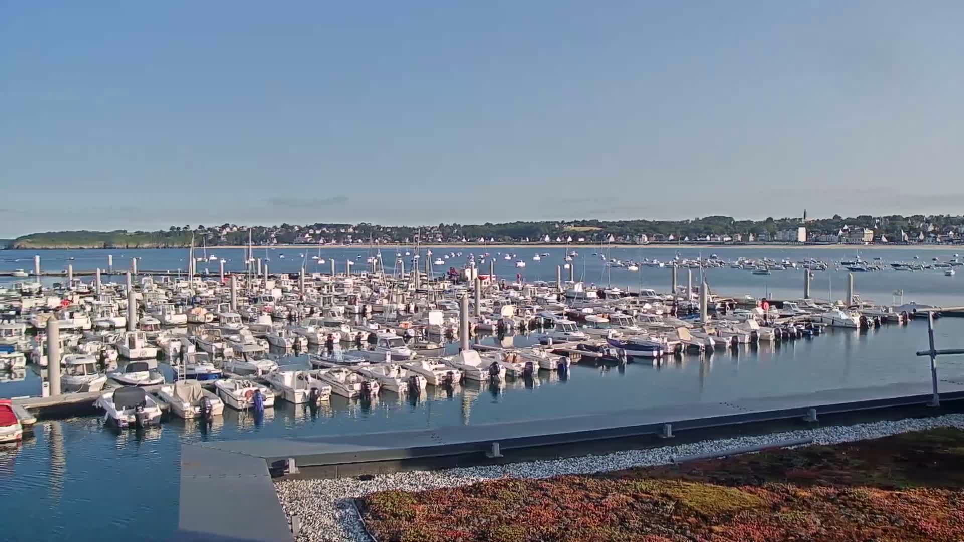 A large marina filled with many small motorboats is situated on calm, clear water under a bright, sunny sky, with a town visible in the distance.