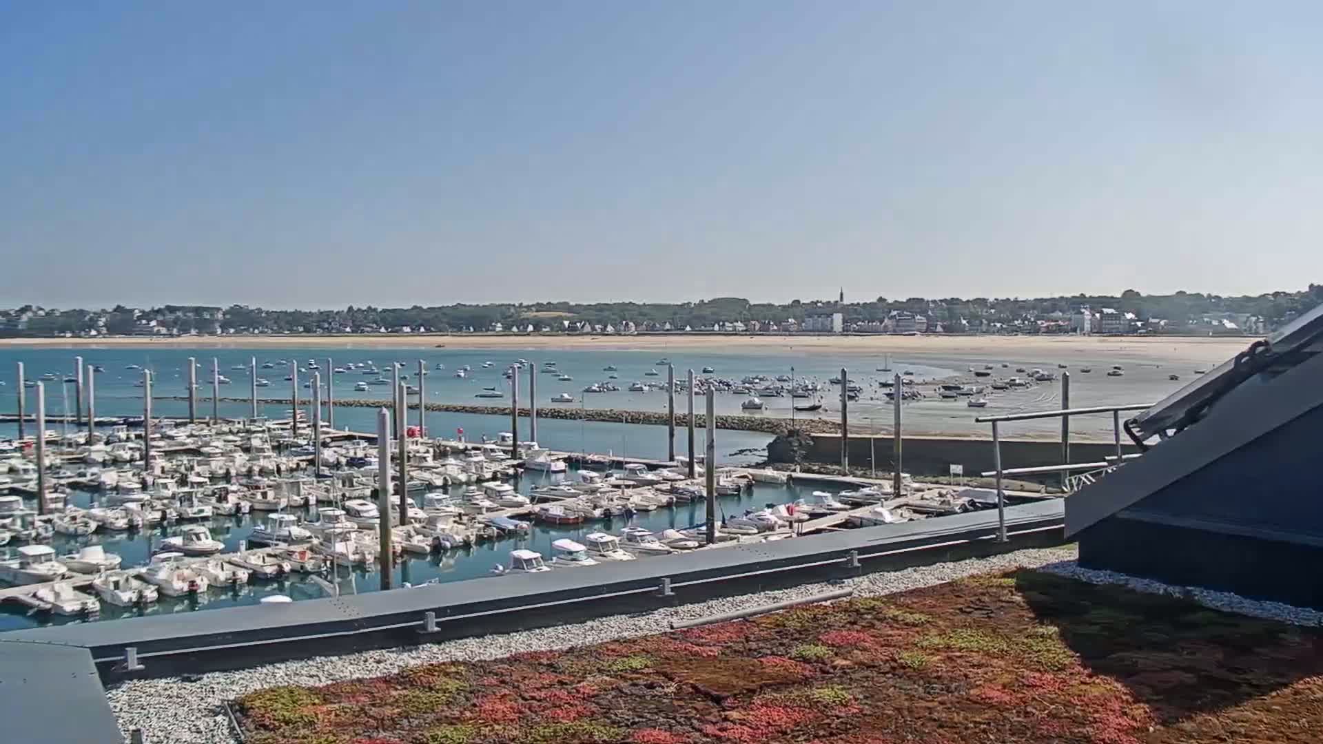 A marina filled with numerous boats is seen from a rooftop garden overlooking a calm bay and a distant town under a clear blue sky.