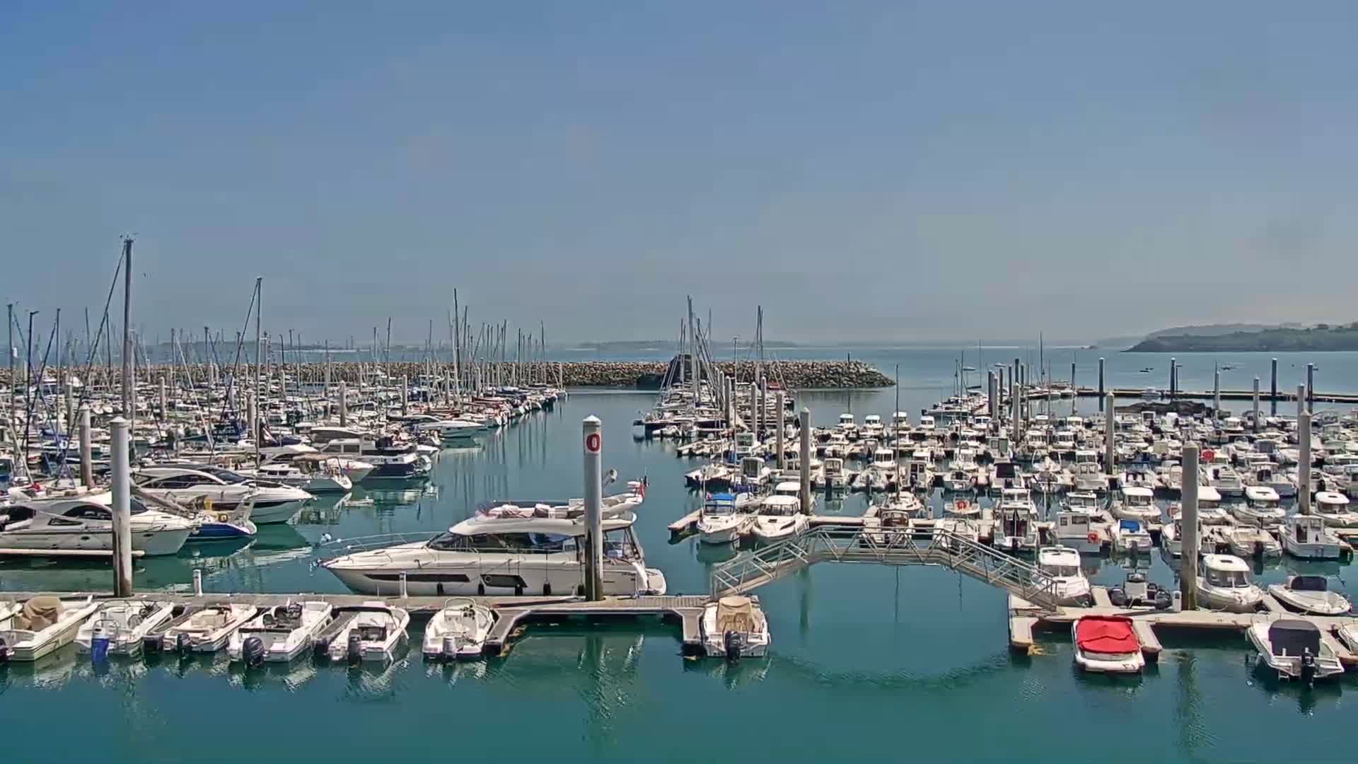 A marina filled with numerous sailboats and motorboats is shown on a sunny day.