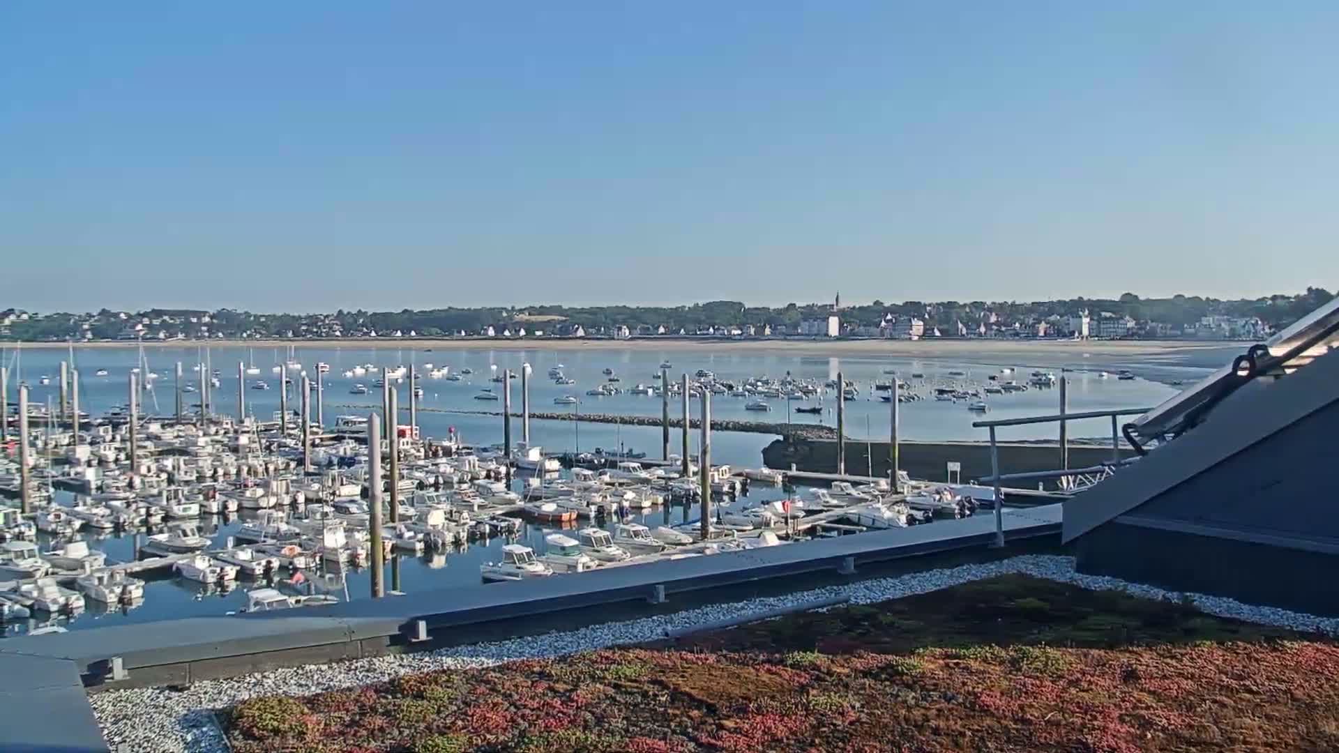 A marina filled with numerous boats is seen from an elevated vantage point on a sunny day, overlooking a calm bay and a distant town.